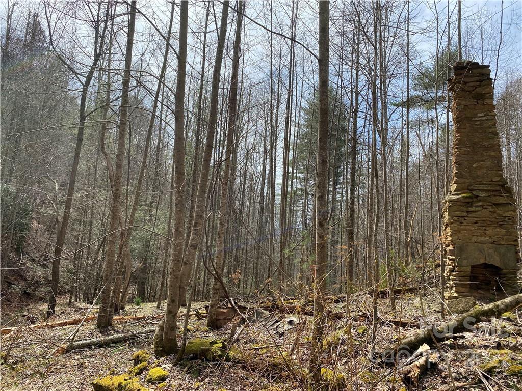 Tbd Brummett Cr Road Green Mountain, NC 28740 - Photo 7 of 36 a view of a yard with trees