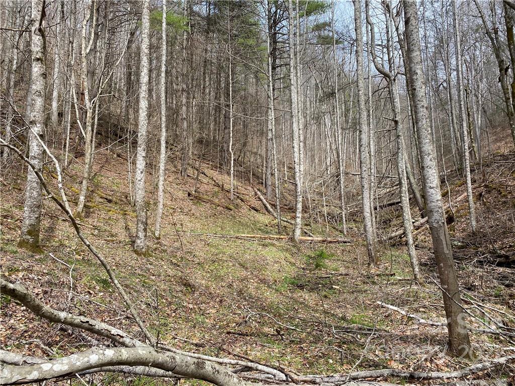 Tbd Brummett Cr Road Green Mountain, NC 28740 - Photo 8 of 36 a view of a pathway with a yard