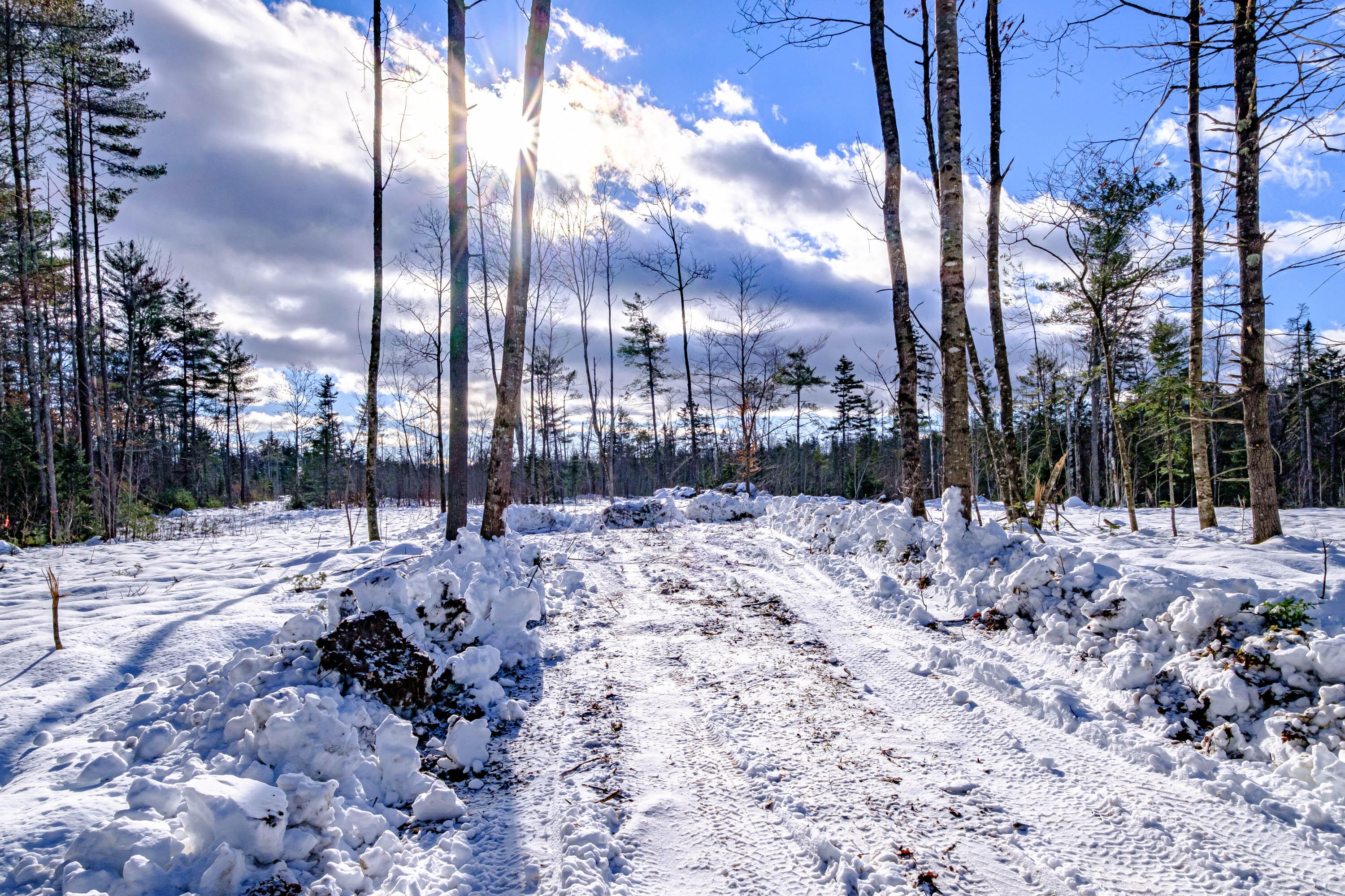 Lot 7-001 Hall Road Bethel, ME 04217 - Photo 5 of 18 20240112gp-62004