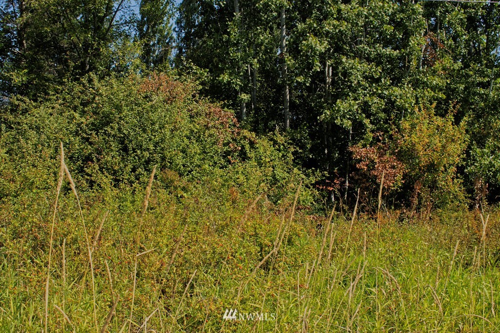 8606 Roger Road Blaine, WA 98230 - Photo 22 of 25 Gallery Image 22
