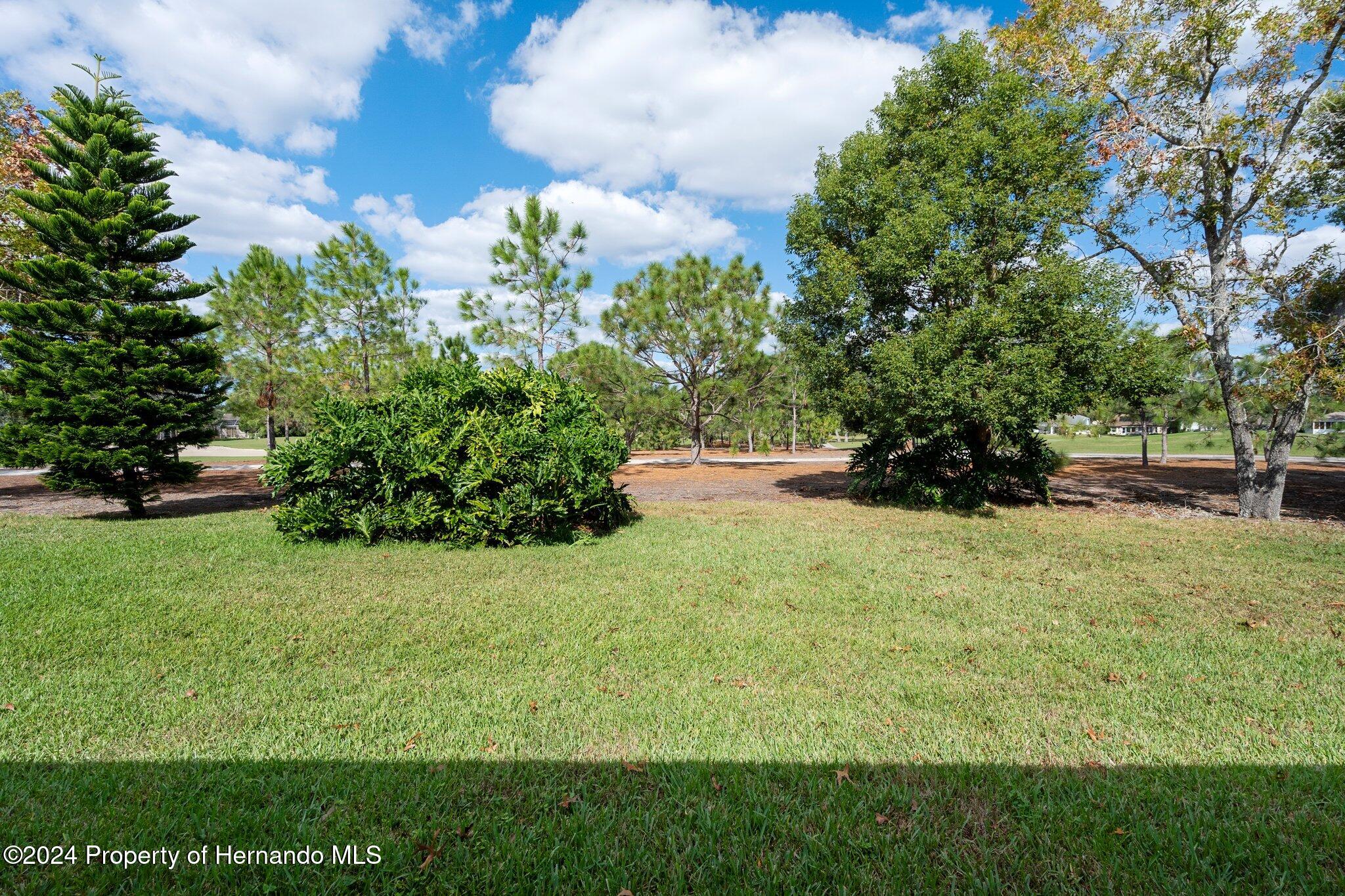 3160 Whispering Pines Court Spring Hill, FL 34606 - Photo 30 of 37 a view of yard with green space