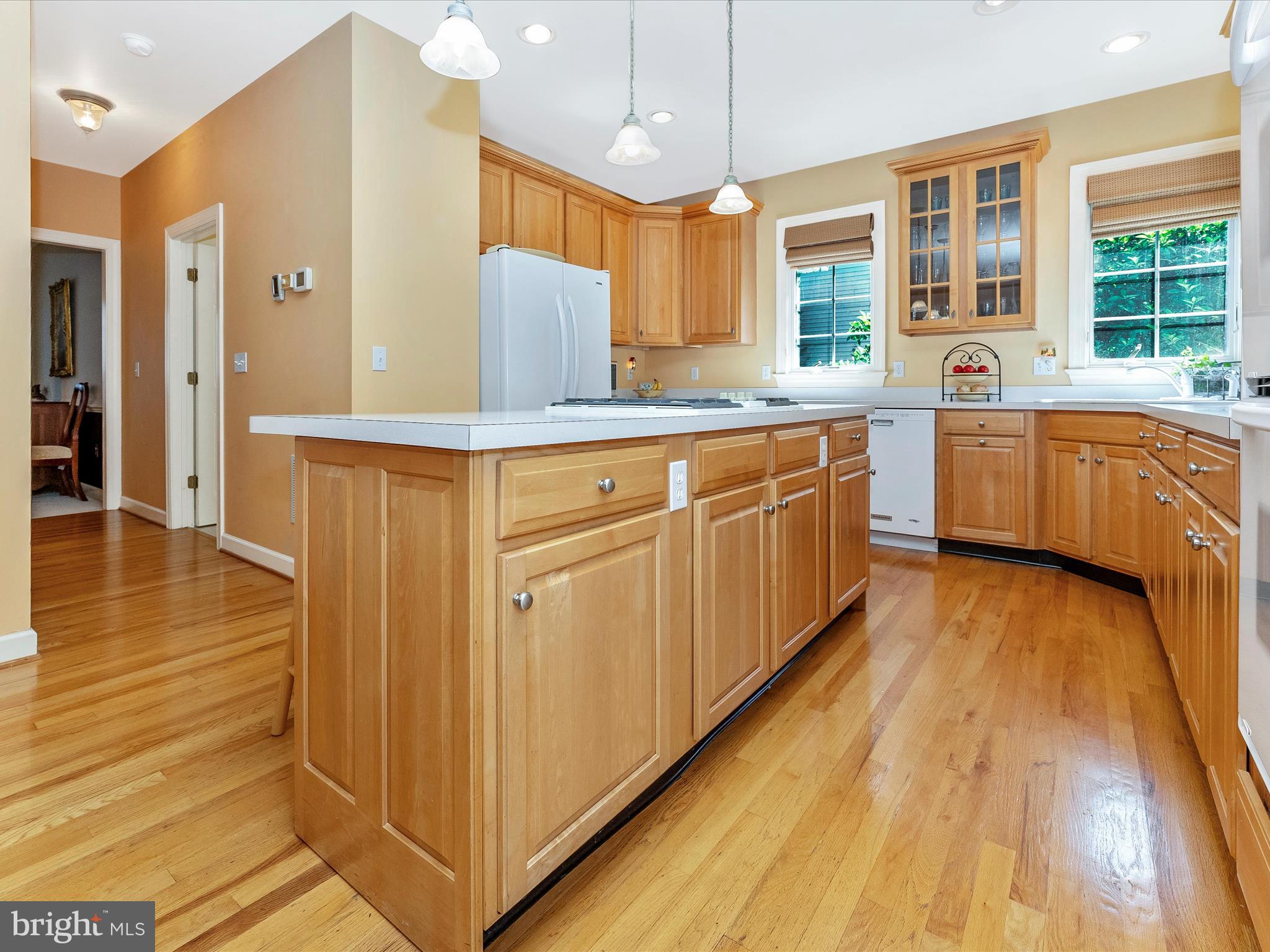 207 Rod Circle Middletown, MD 21769 - Photo 14 of 62 Kitchen