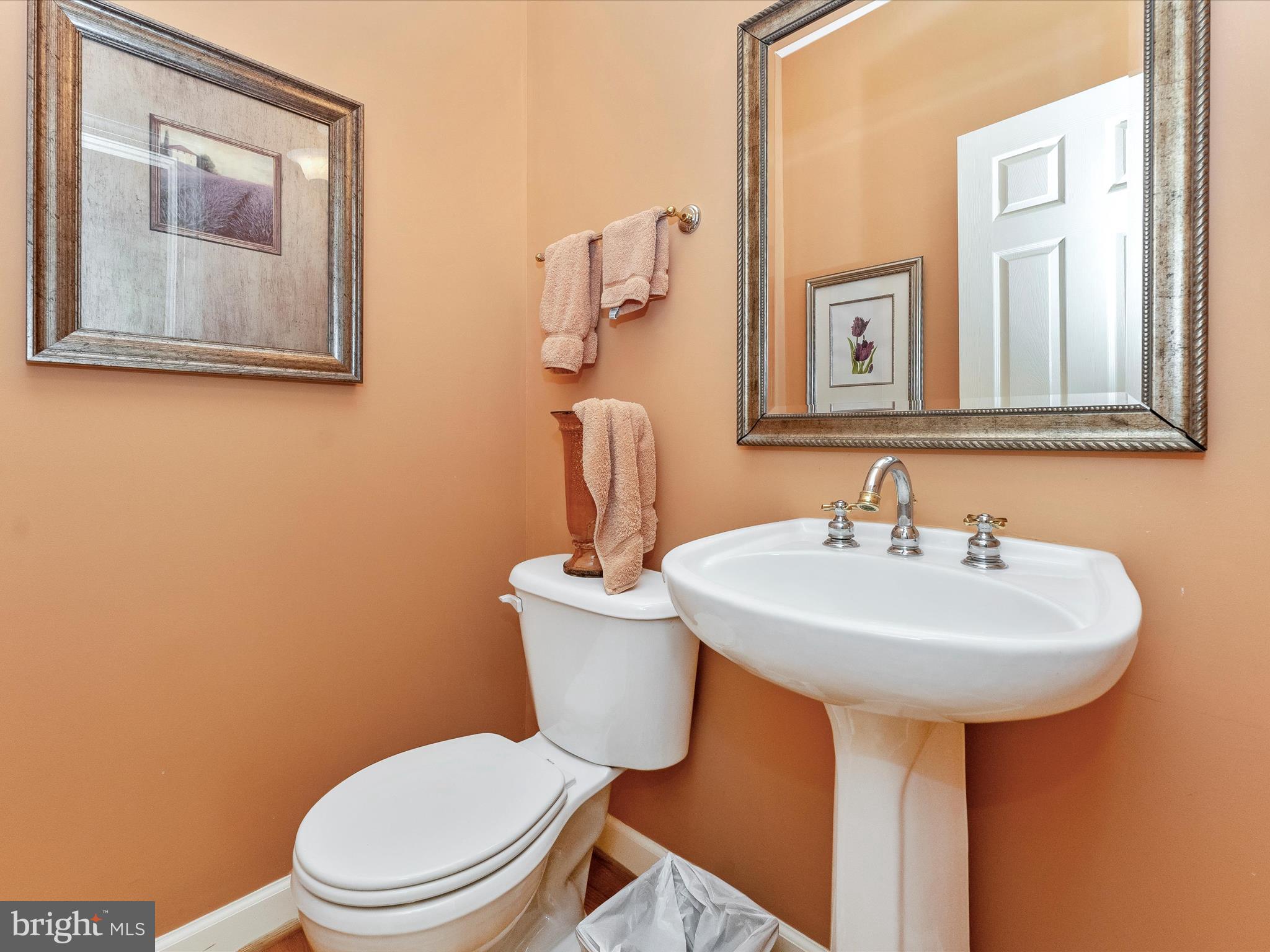 207 Rod Circle Middletown, MD 21769 - Photo 21 of 62 Powder Room