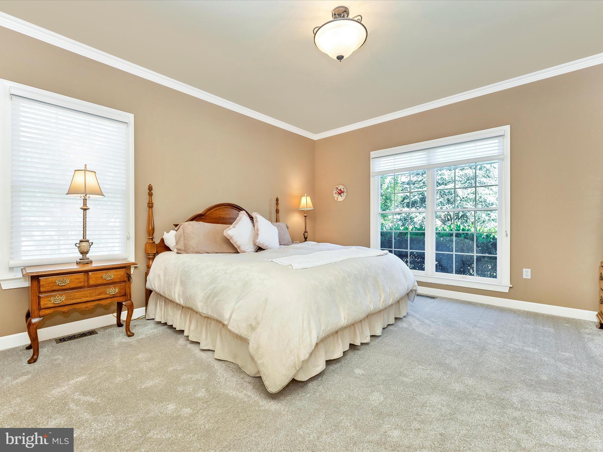 207 Rod Circle Middletown, MD 21769 - Photo 23 of 62 Primary Bedroom