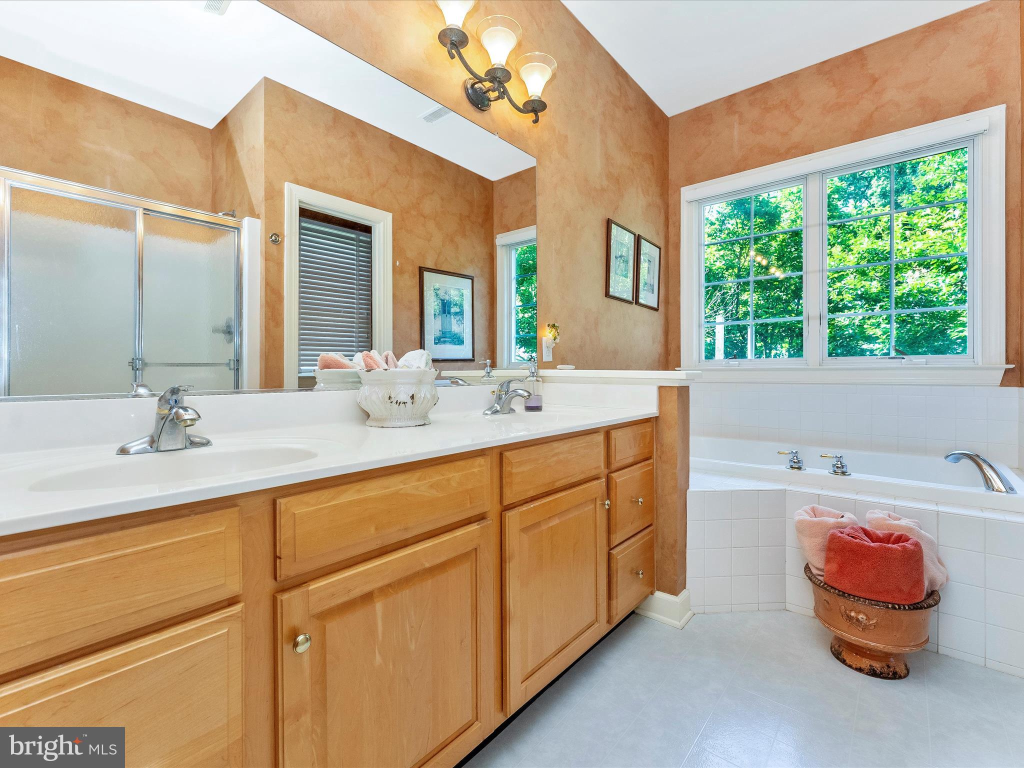 207 Rod Circle Middletown, MD 21769 - Photo 25 of 62 Primary Bathroom