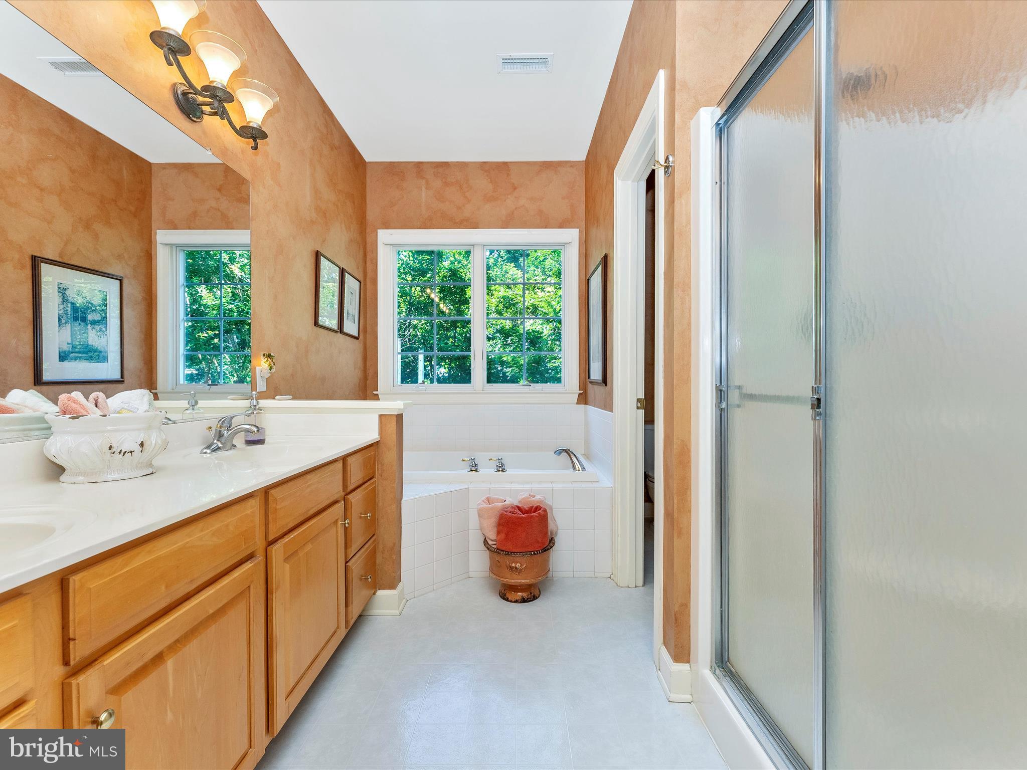 207 Rod Circle Middletown, MD 21769 - Photo 26 of 62 Primary Bathroom