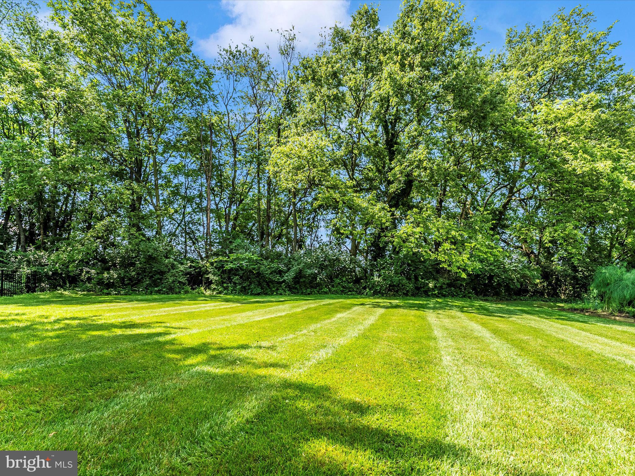 207 Rod Circle Middletown, MD 21769 - Photo 44 of 62 Backyard