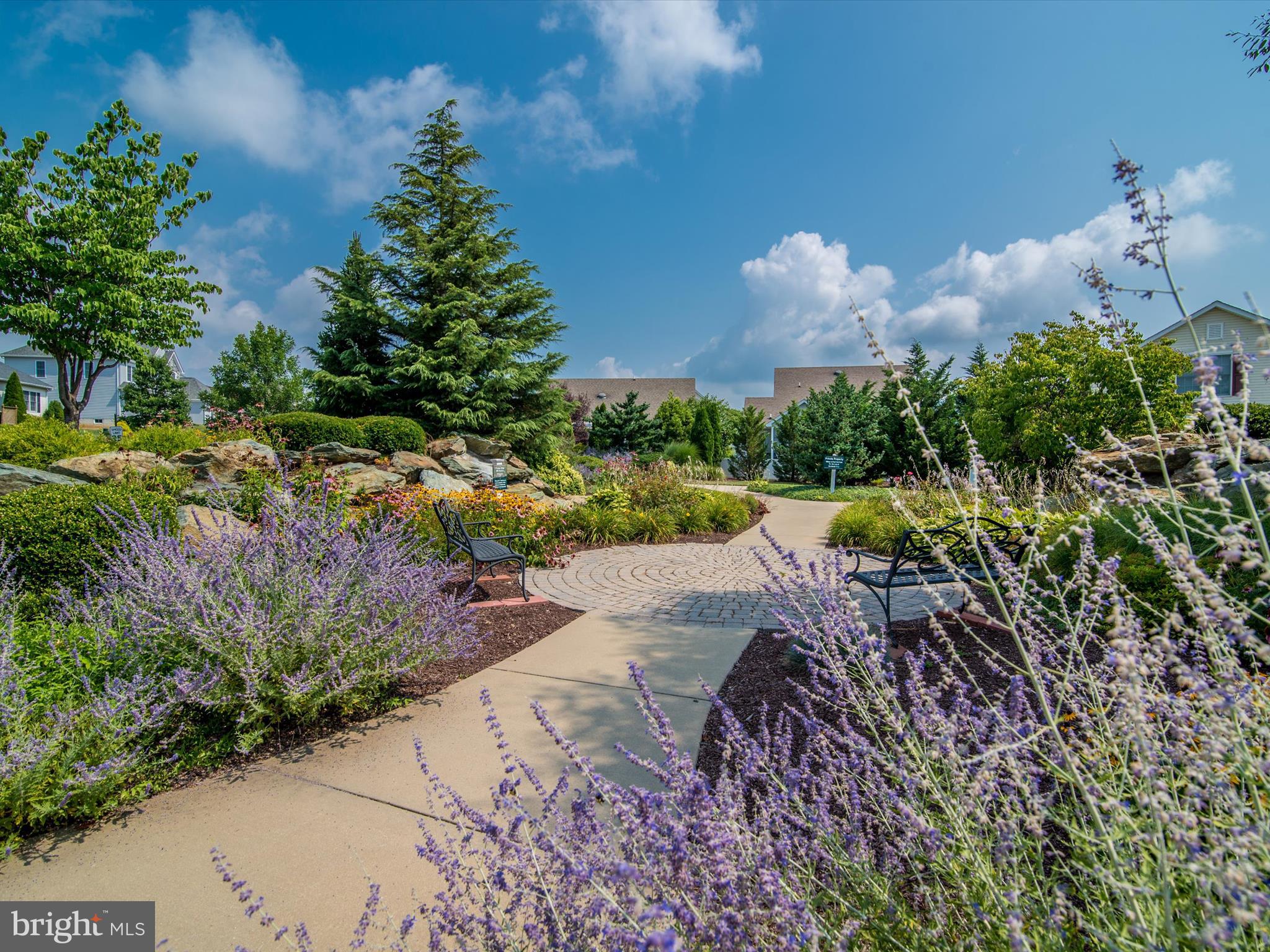 207 Rod Circle Middletown, MD 21769 - Photo 57 of 62 Community