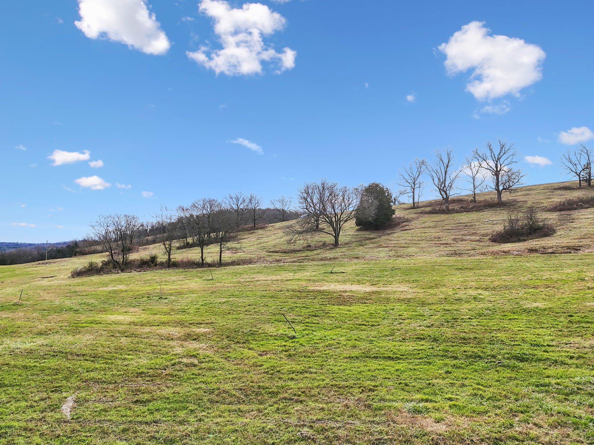 6884 Choctaw Road College Grove, TN 37046 - Photo 3 of 5 a view of a lake view