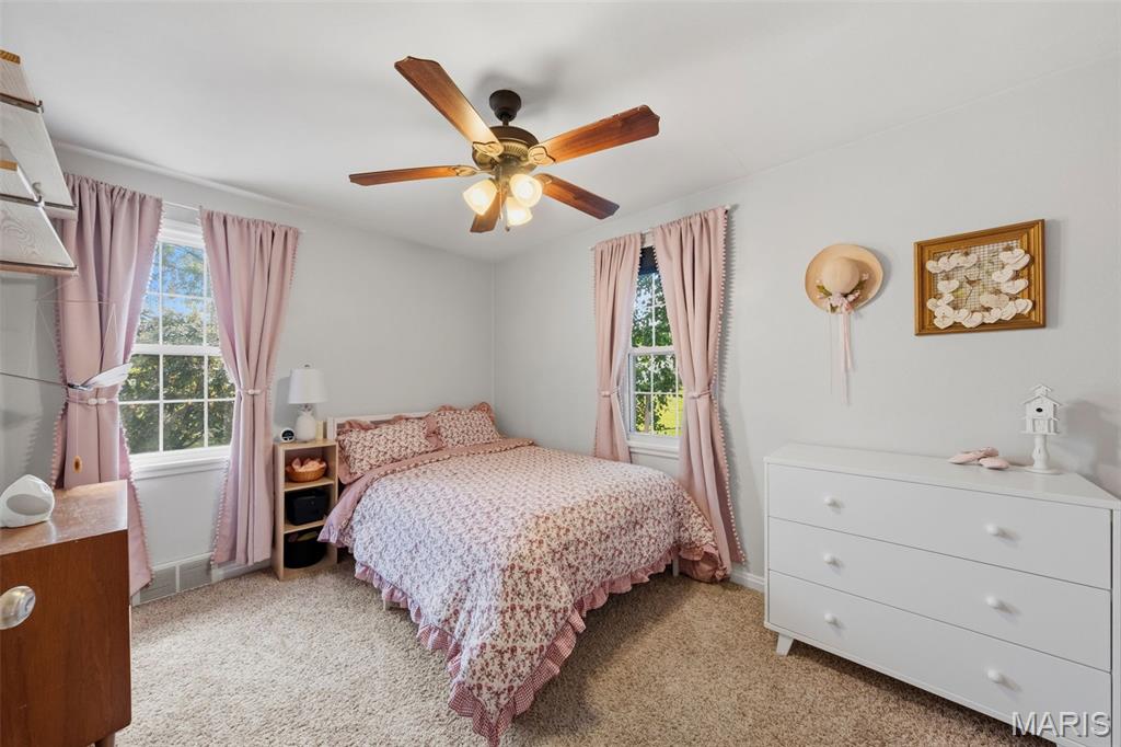 206 Magnolia Avenue Waterloo, IL 62298 - Photo 17 of 44