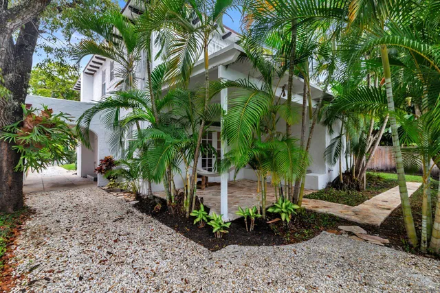 a view of a backyard with plants and palm trees