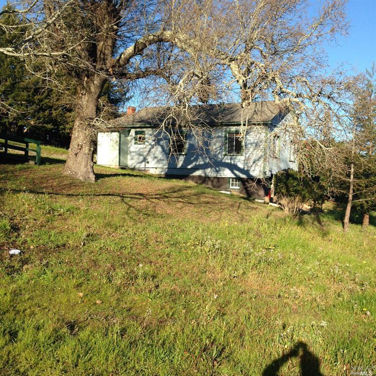 938 Ferguson Road Sebastopol, CA 95472 - Photo 1 of 1 a view of a yard with yellow house