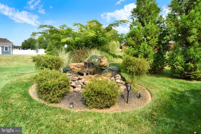 a view of a garden with a tree