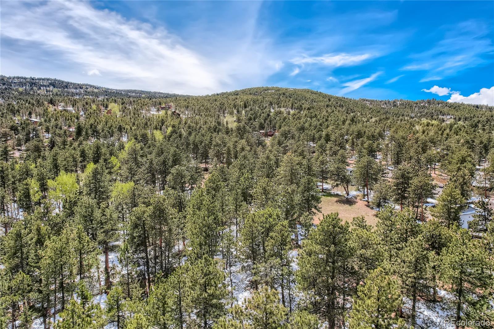 219 Pine Road Golden, CO 80403 - Photo 15 of 21