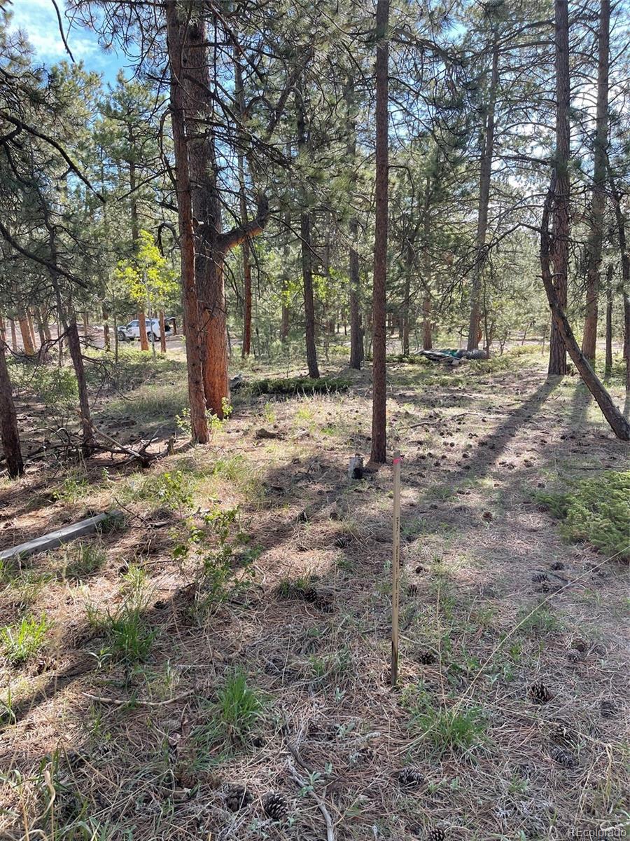 219 Pine Road Golden, CO 80403 - Photo 5 of 21