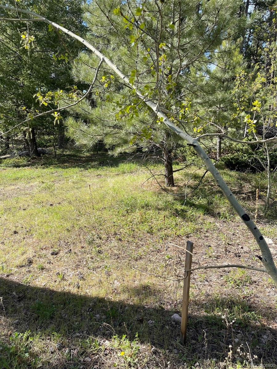 219 Pine Road Golden, CO 80403 - Photo 7 of 21