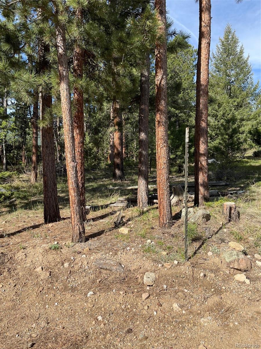 219 Pine Road Golden, CO 80403 - Photo 8 of 21