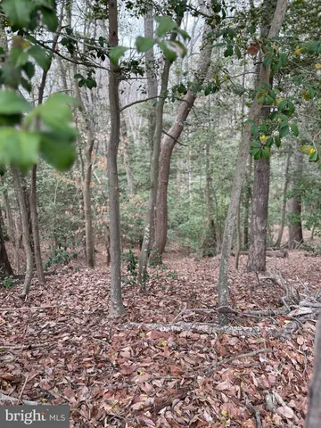 a big yard with lots of green space