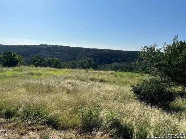 a view of a field with an ocean
