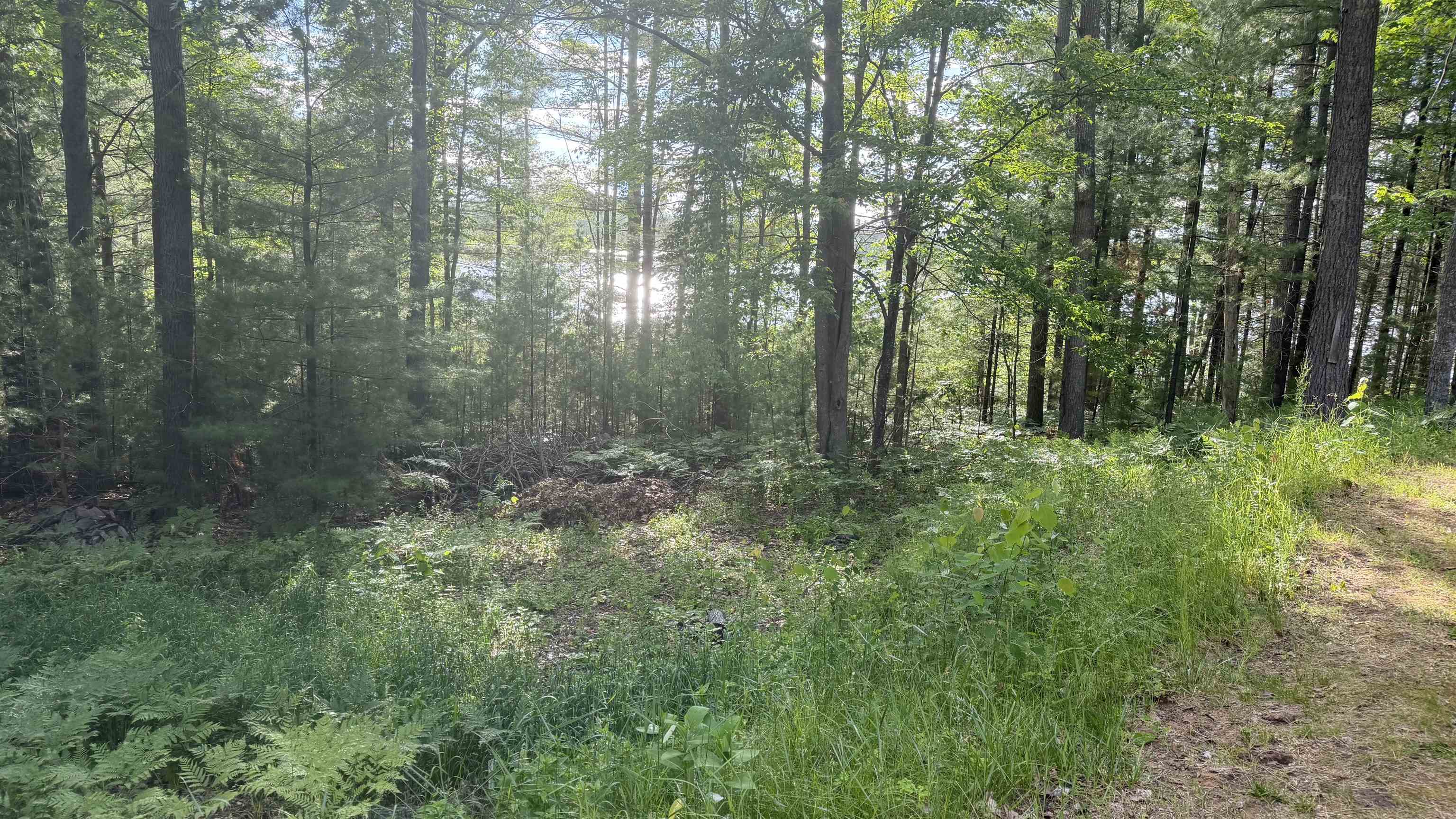 14054 Pointe Road Atlanta, MI 49709 - Photo 26 of 26