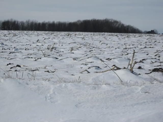 Lot 1 Rangeline Road Sheboygan, WI 53083 - Photo 1 of 1 IMG_6718
