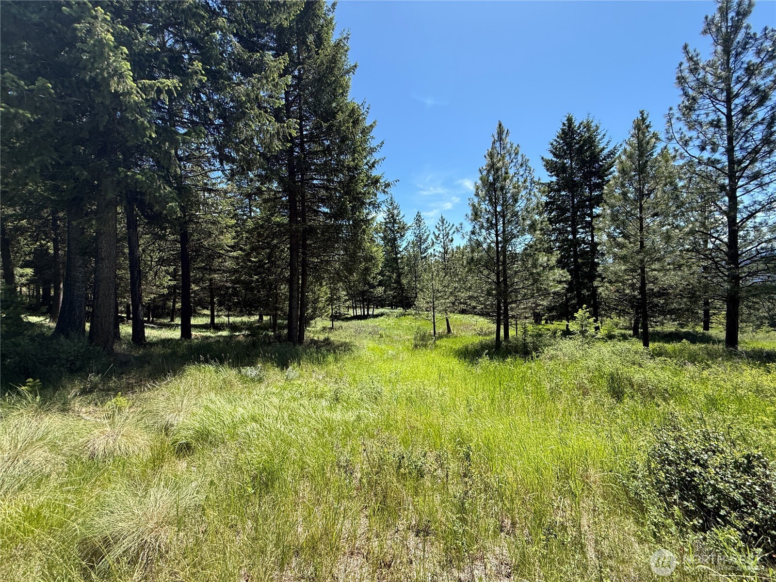 5 Hidden Spring Ranch Road Republic, WA 99166 - Photo 21 of 22