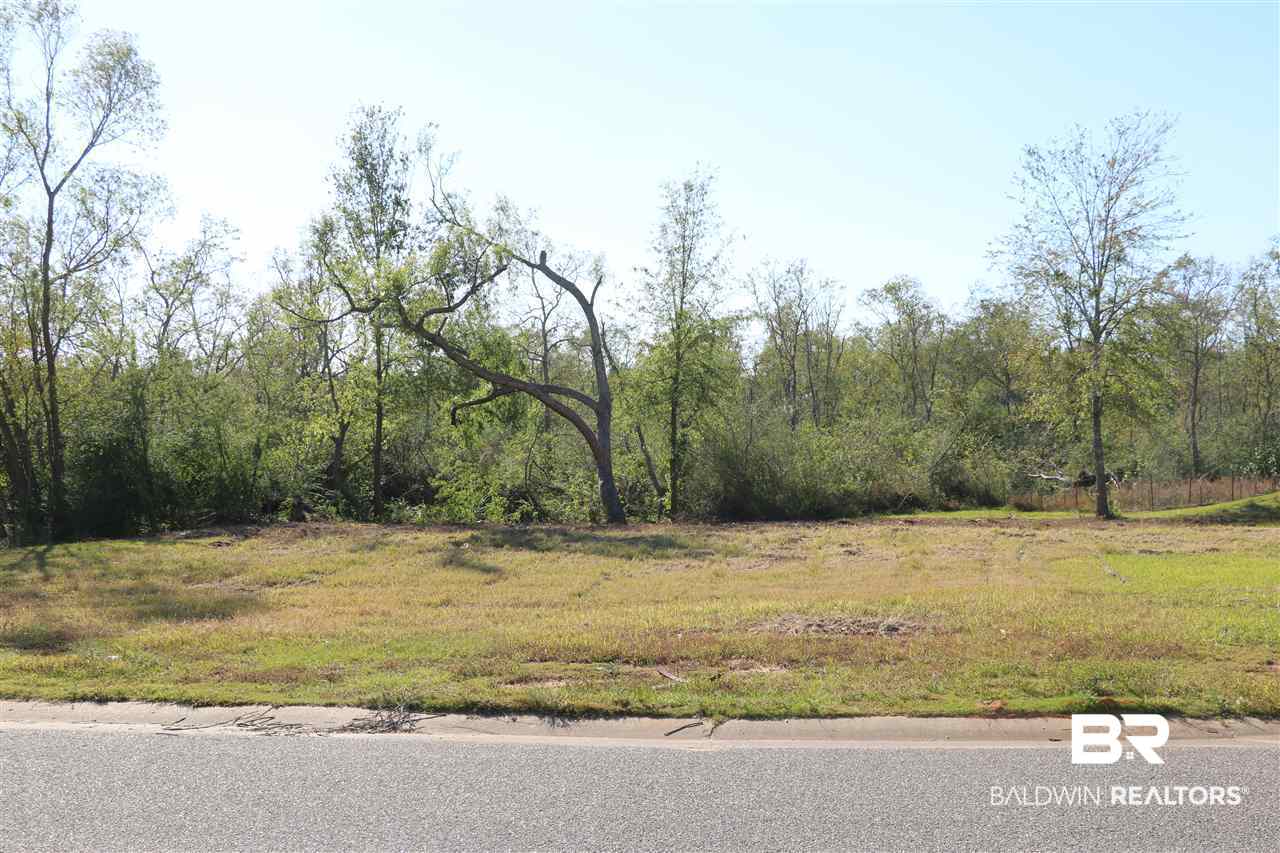 Lot 41 Thames Drive Foley, AL 36535 - Photo 10 of 14