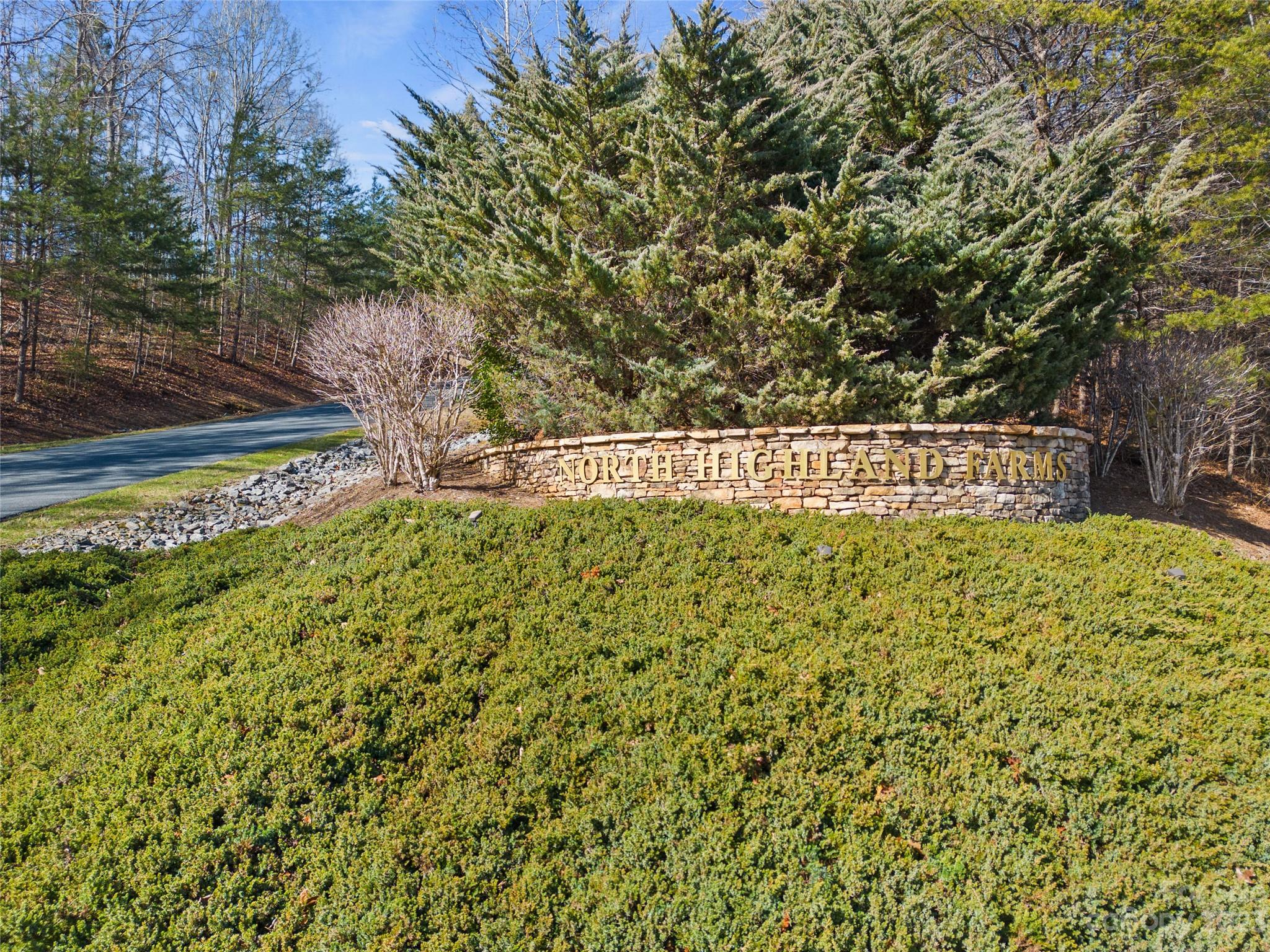340 Highland View Lane Mill Spring, NC 28756 - Photo 40 of 48 a view of a bunch of plants and trees