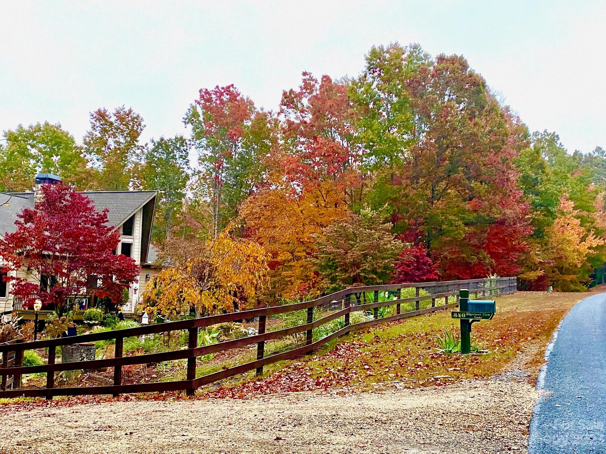 340 Highland View Lane Mill Spring, NC 28756 - Photo 46 of 48 a park view with a bench in the background
