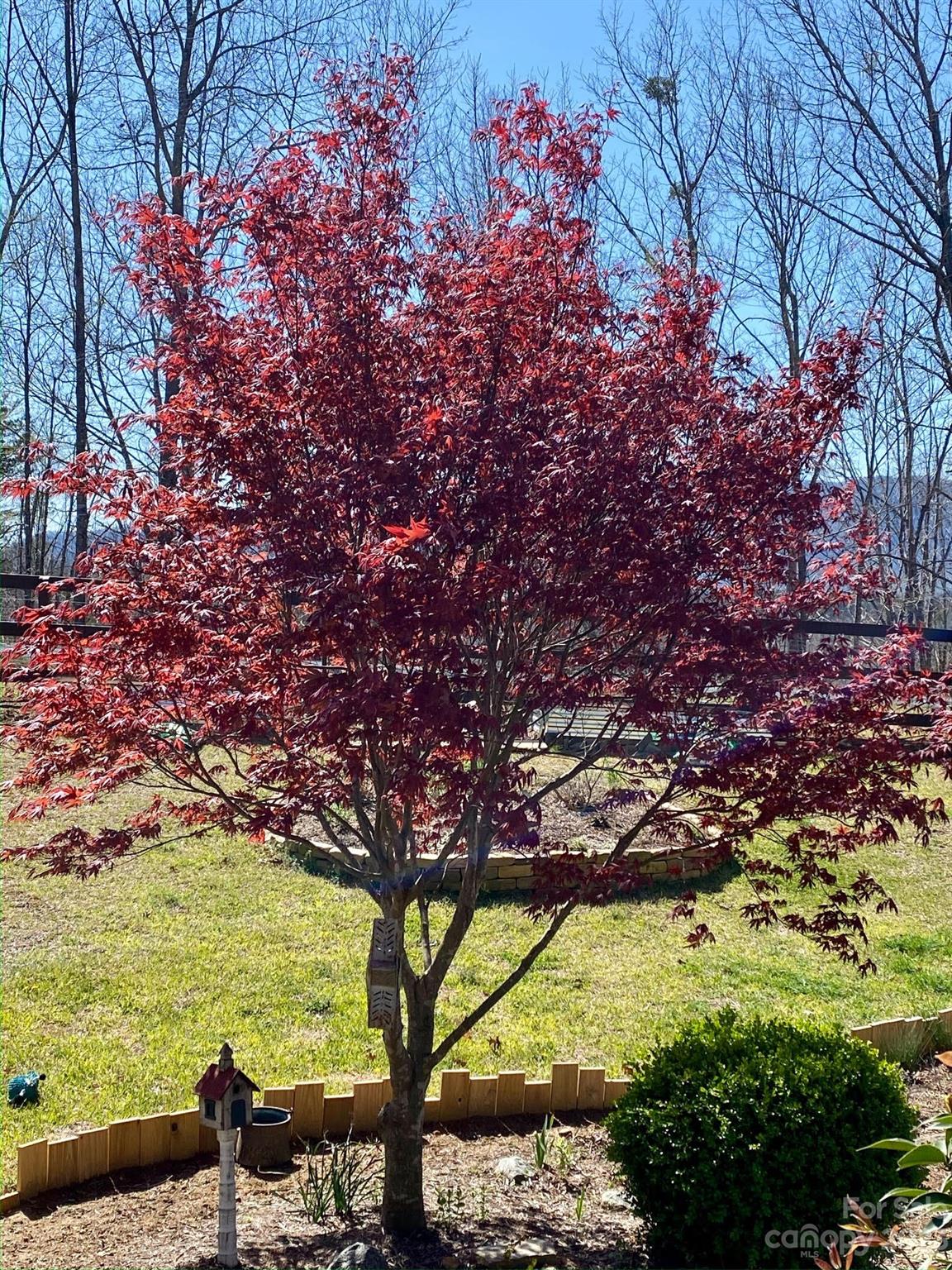 340 Highland View Lane Mill Spring, NC 28756 - Photo 47 of 48 a view of a yard with an outdoor space