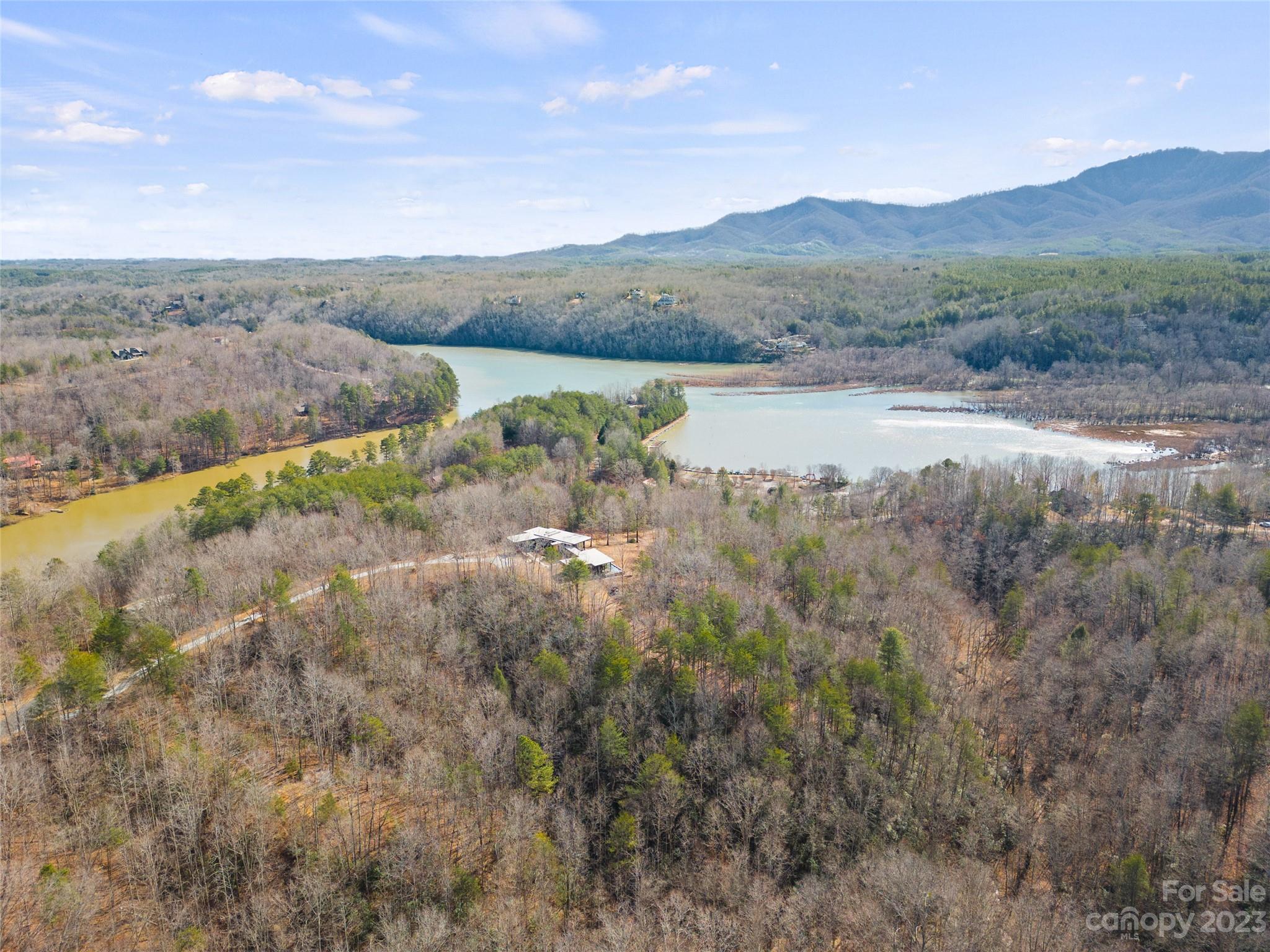 340 Highland View Lane Mill Spring, NC 28756 - Photo 6 of 48 a view of lake with mountain