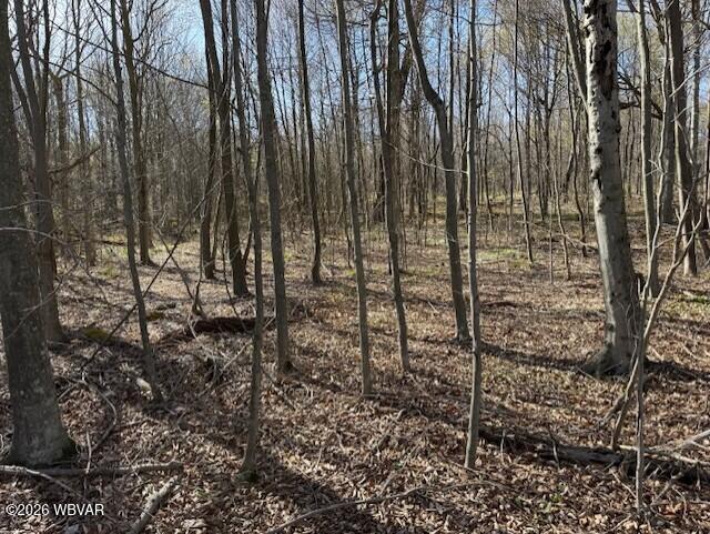 37 Revelation Road Shunk, PA 17768 - Photo 11 of 13 Parcel 037 Revelation Rd. View (6)