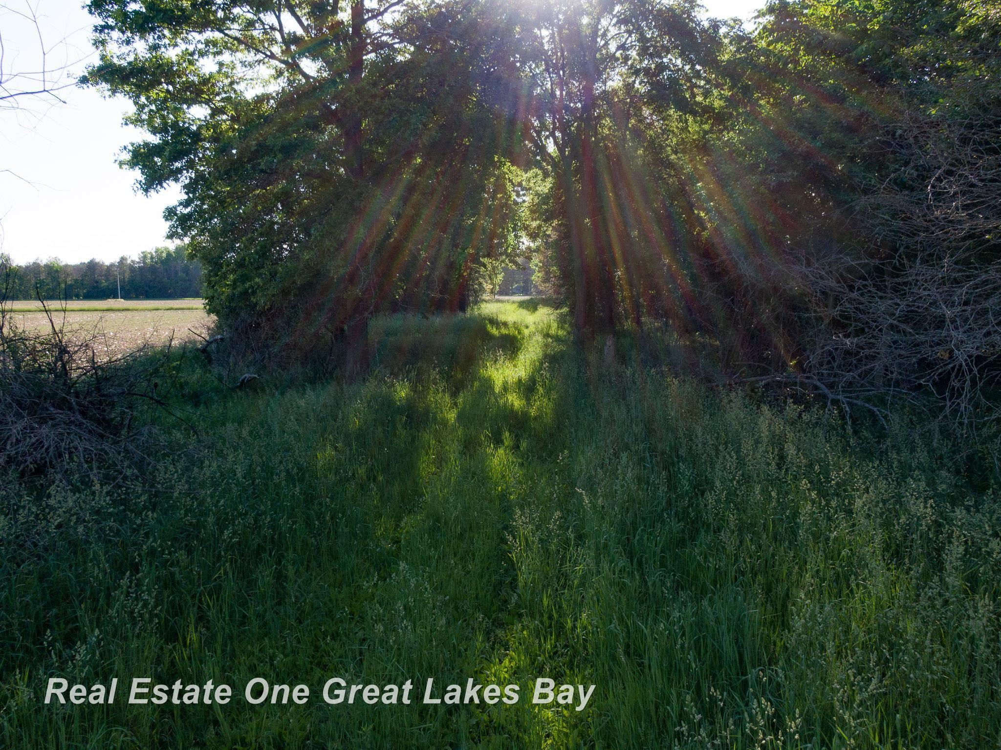 Roosevelt Road Hemlock, MI 48626 - Photo 16 of 28