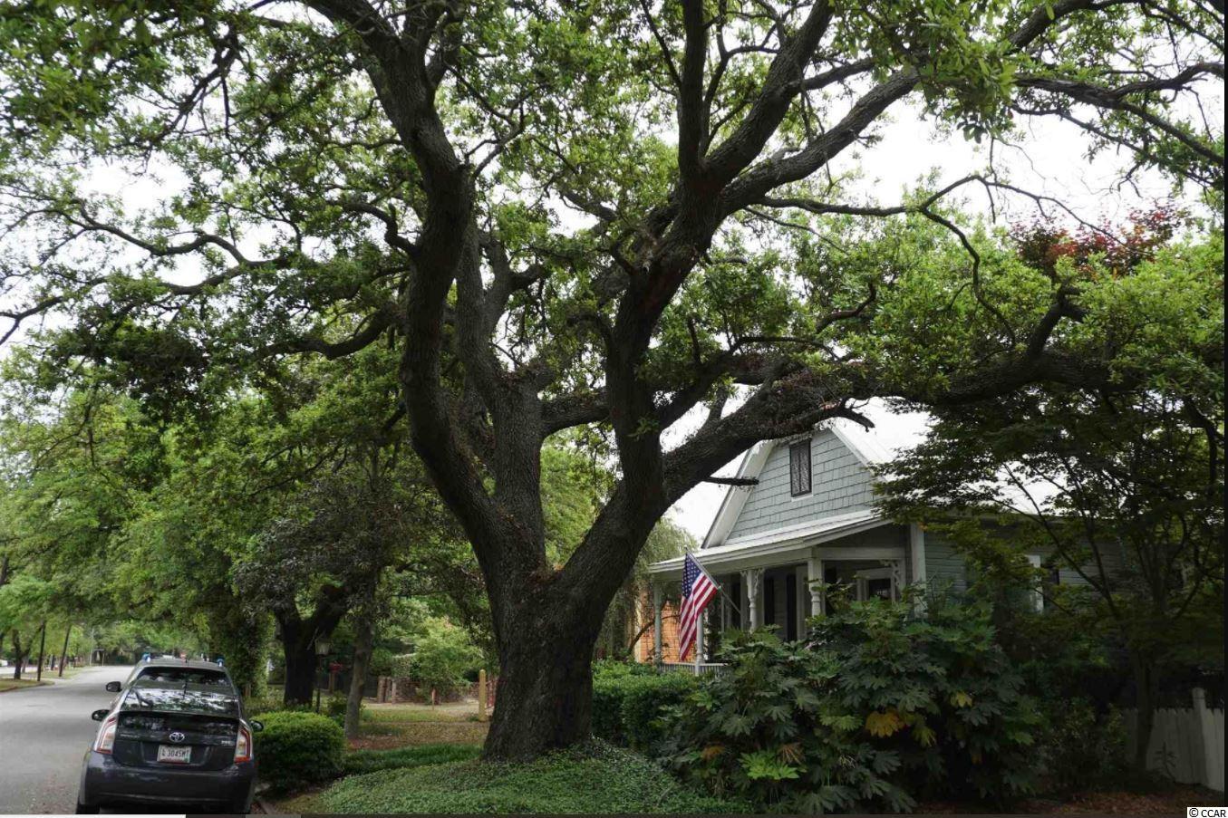 312 Cleland Street Georgetown, SC 29440 - Photo 5 of 25 Gallery Image 5