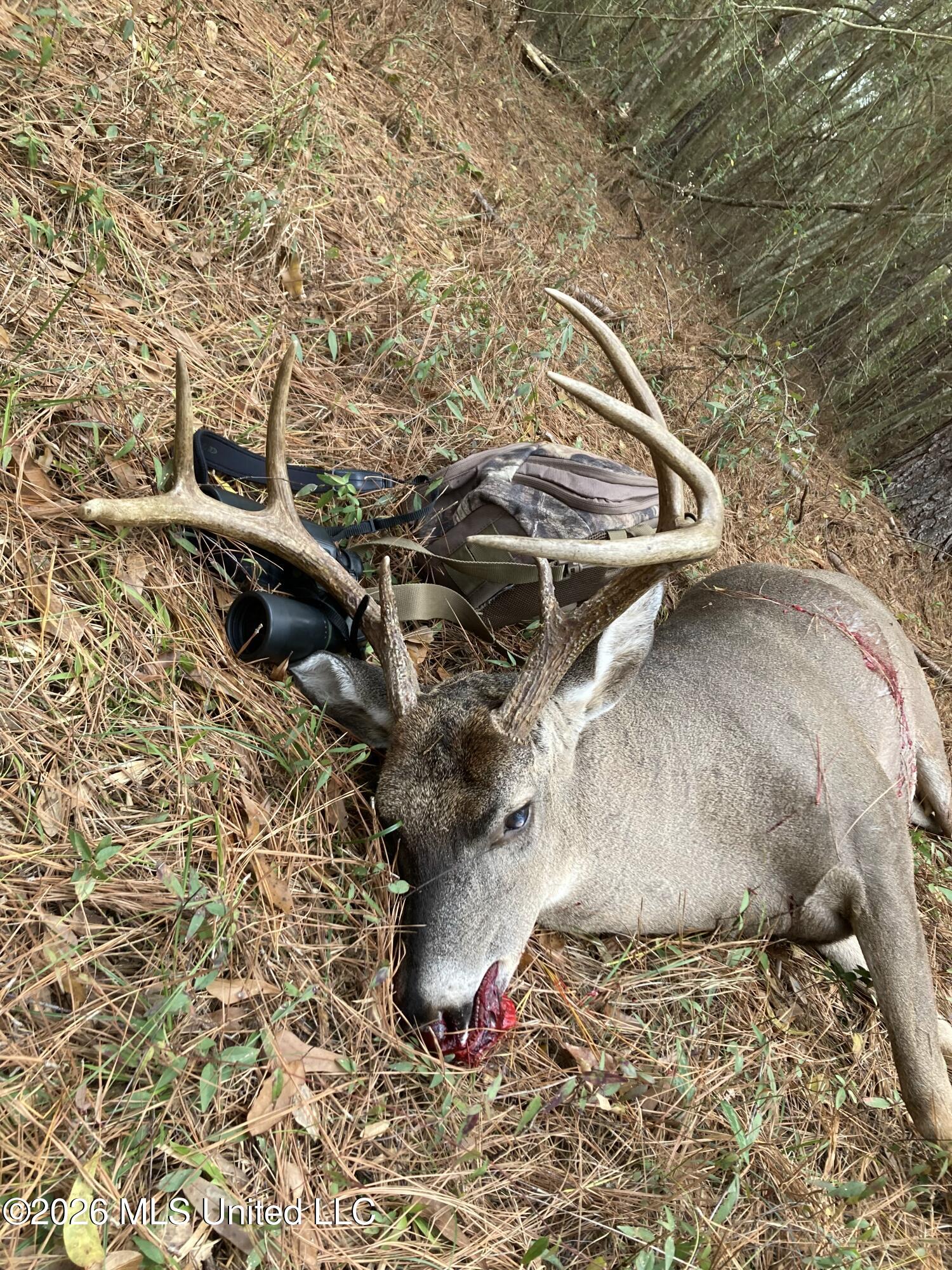10 point