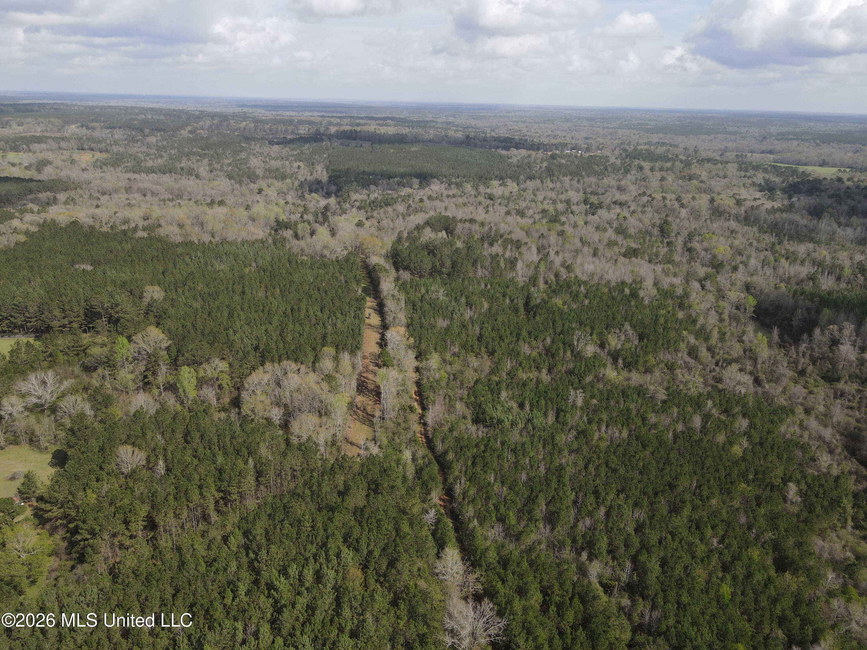 Conerly Drive McComb, MS 39648 - Photo 11 of 40 29505