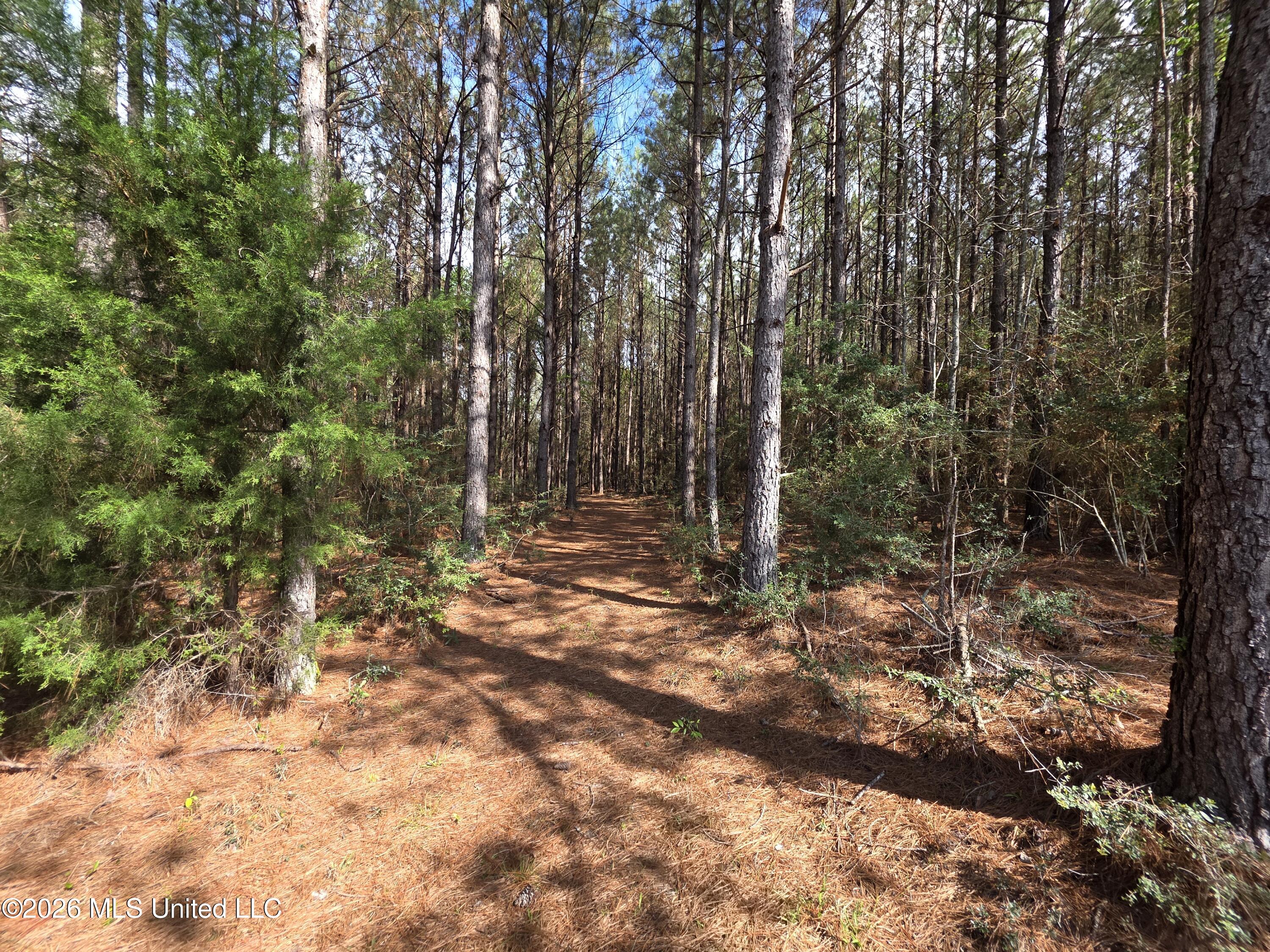 Conerly Drive McComb, MS 39648 - Photo 12 of 40 29479