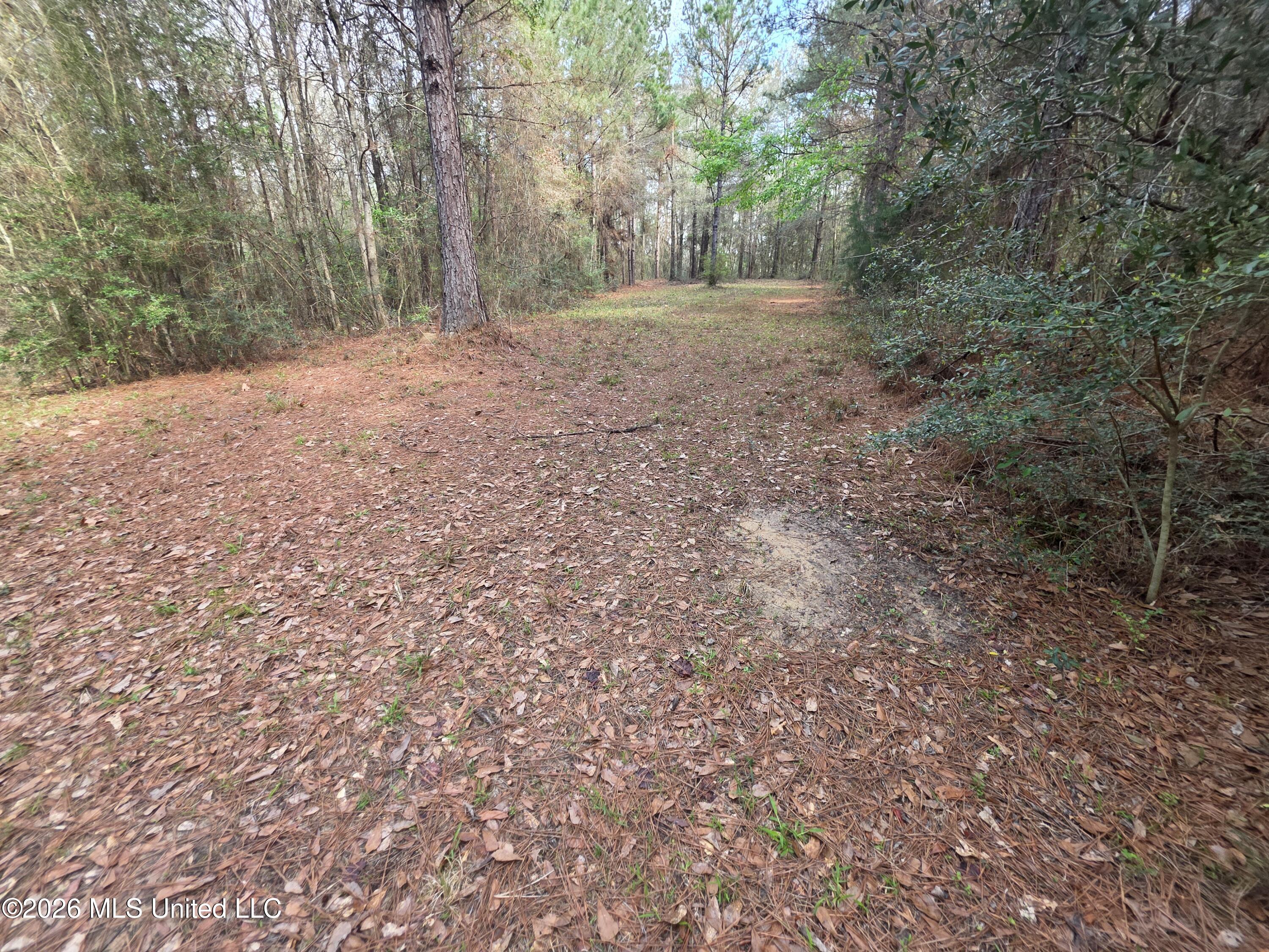 Conerly Drive McComb, MS 39648 - Photo 13 of 40 29457