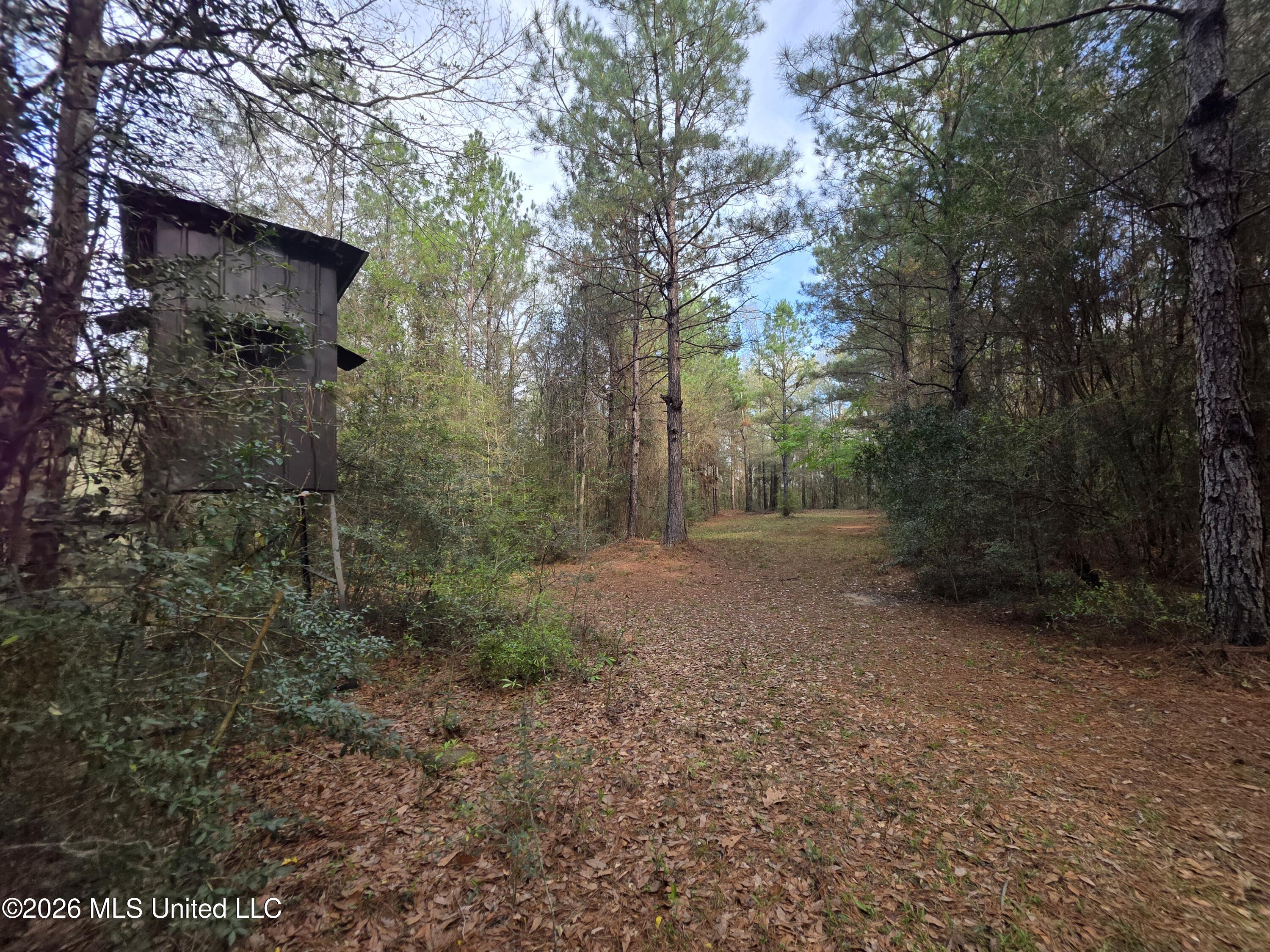 Conerly Drive McComb, MS 39648 - Photo 14 of 40 29456