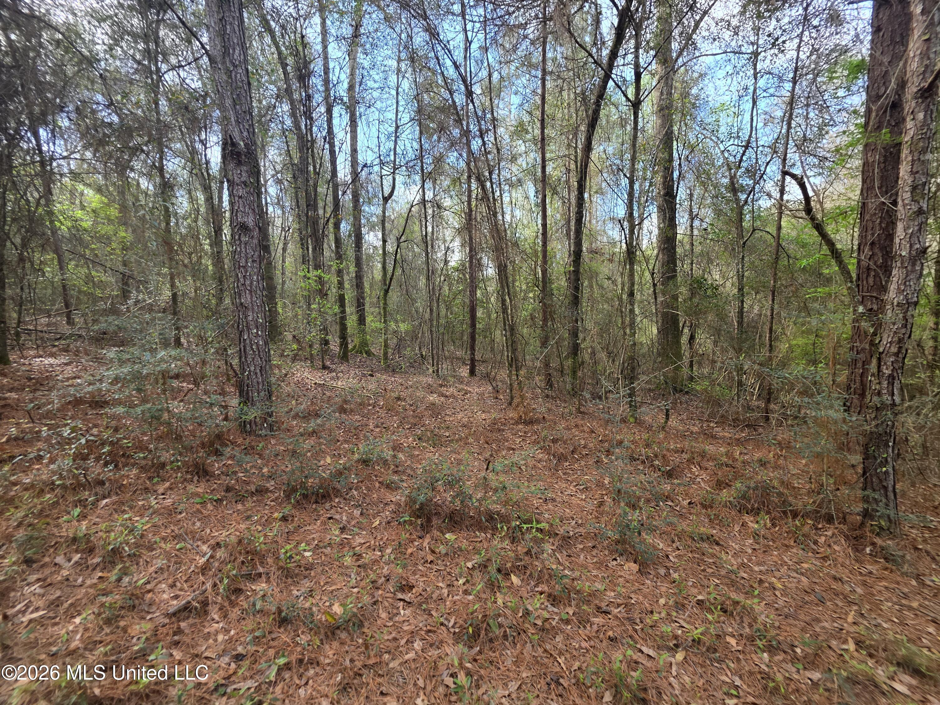 Conerly Drive McComb, MS 39648 - Photo 15 of 40 29452