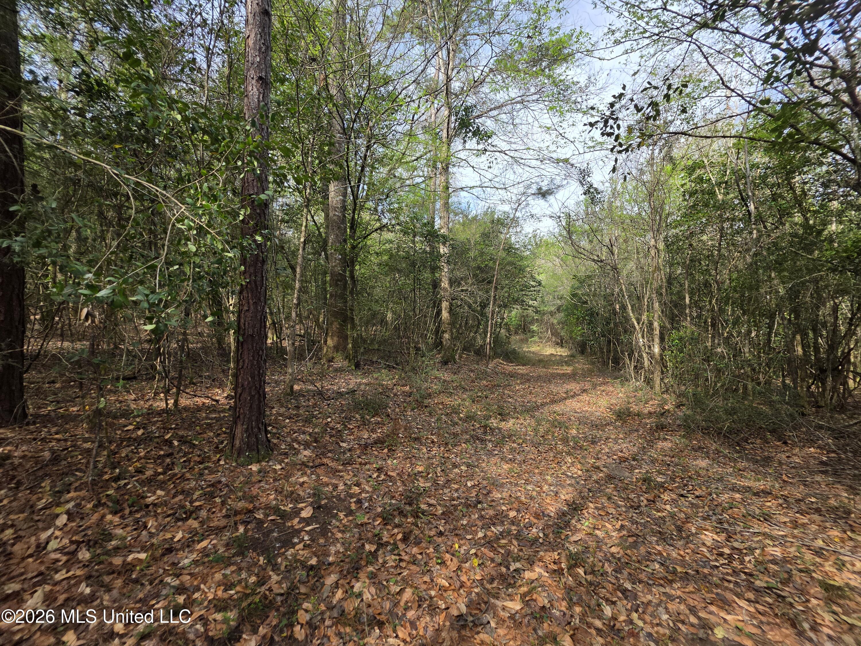 Conerly Drive McComb, MS 39648 - Photo 17 of 40 29438