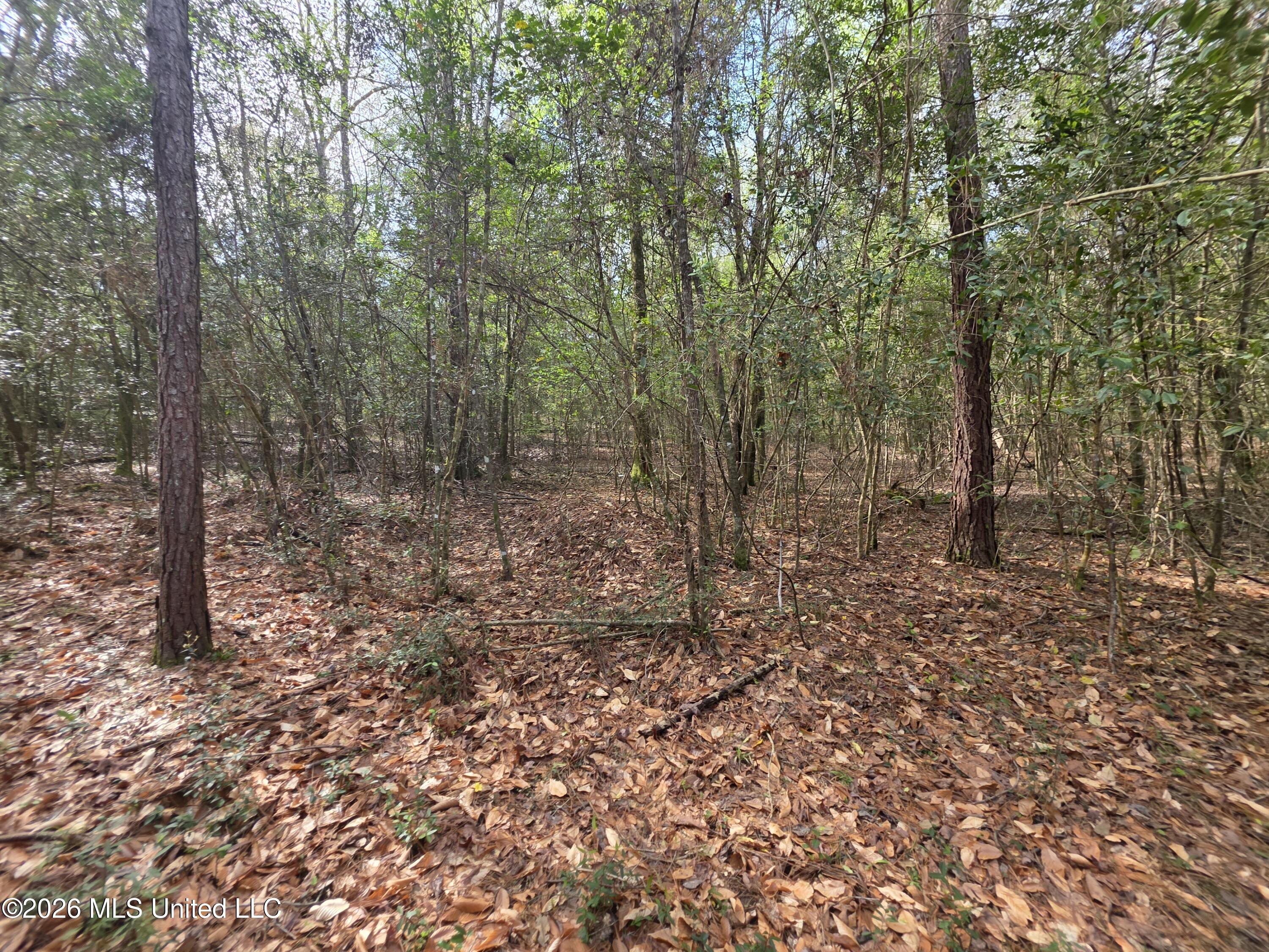 Conerly Drive McComb, MS 39648 - Photo 18 of 40 29437