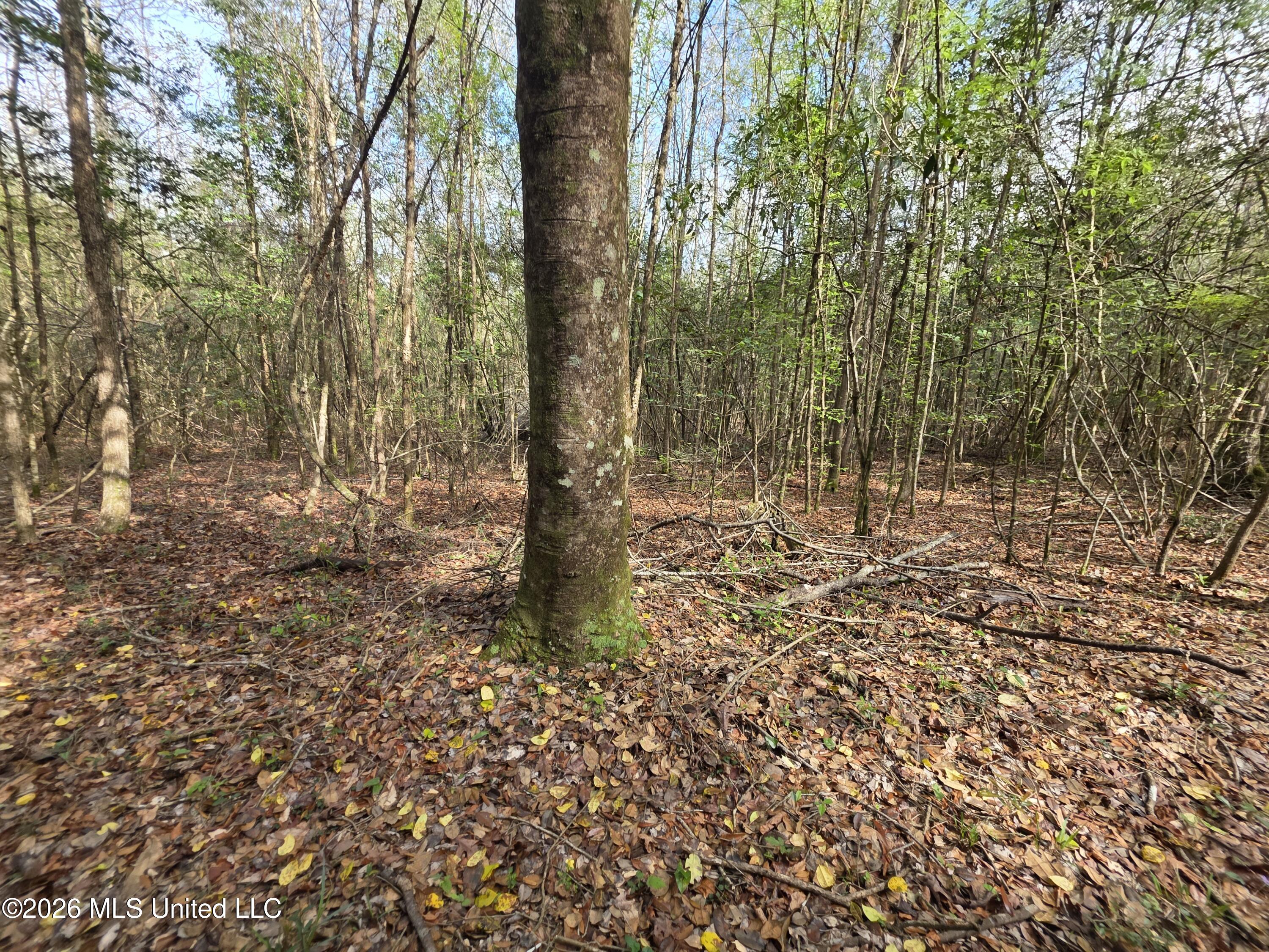 Conerly Drive McComb, MS 39648 - Photo 19 of 40 29432