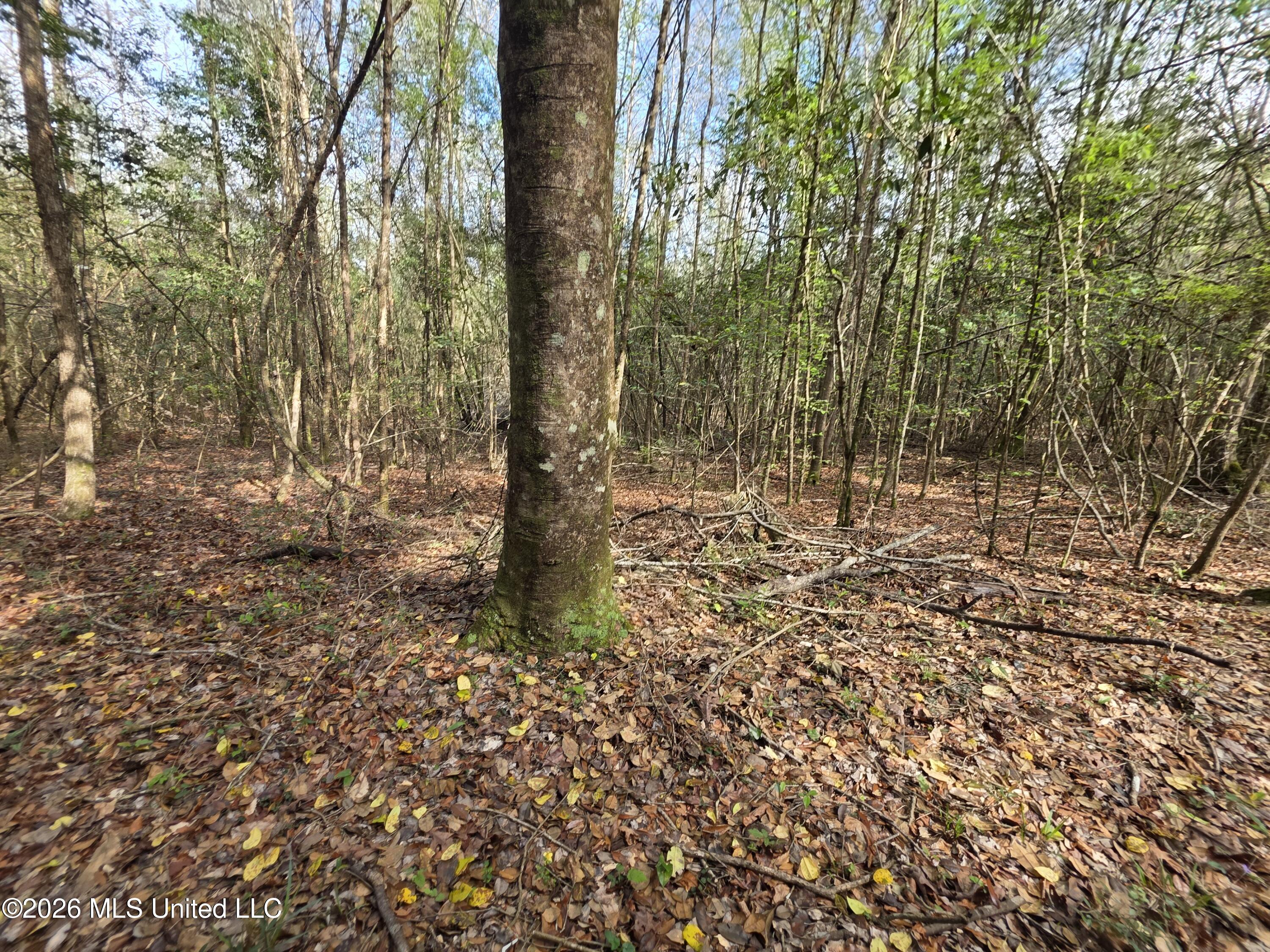 Conerly Drive McComb, MS 39648 - Photo 20 of 40 29431