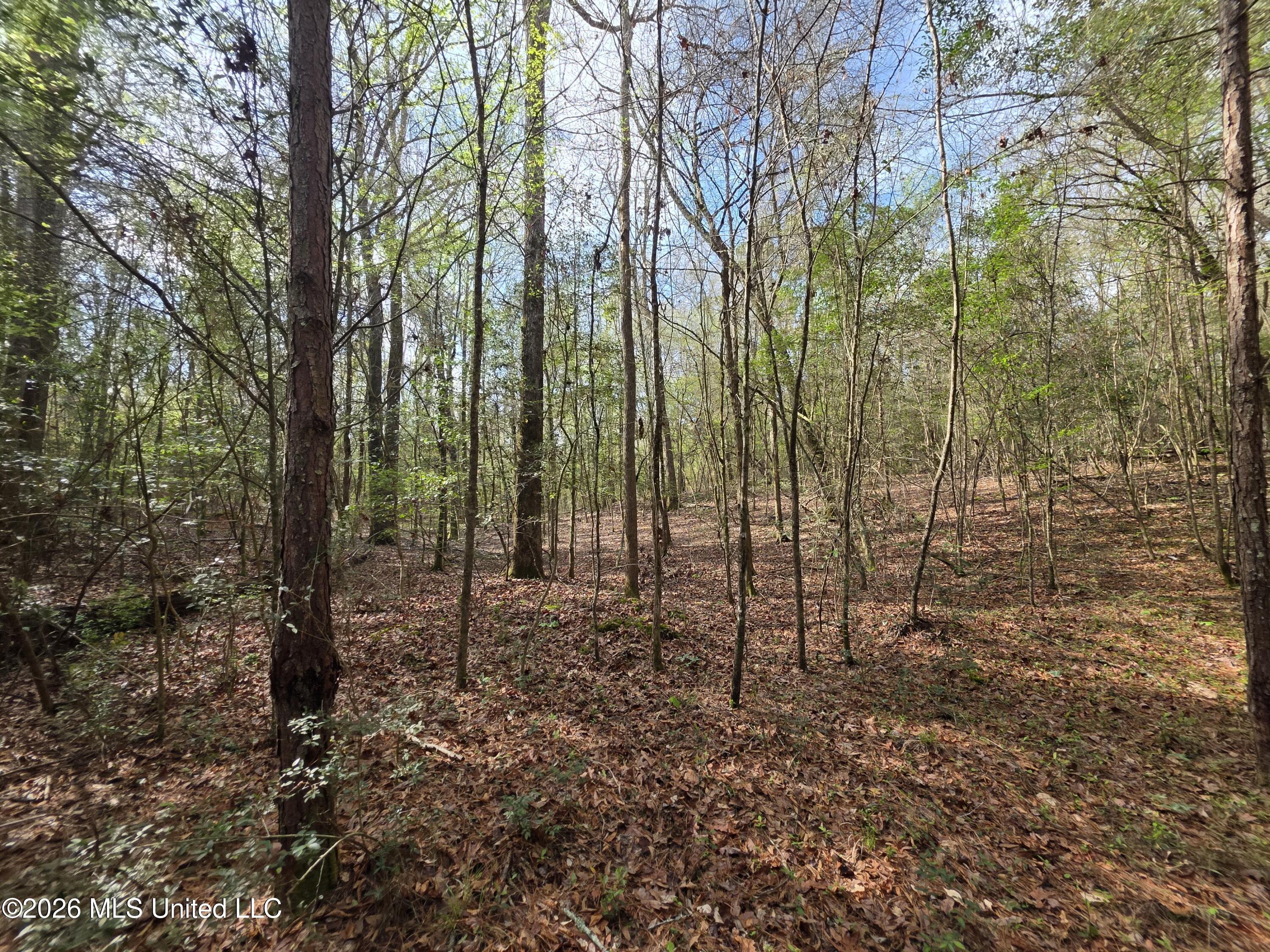 Conerly Drive McComb, MS 39648 - Photo 21 of 40 29421