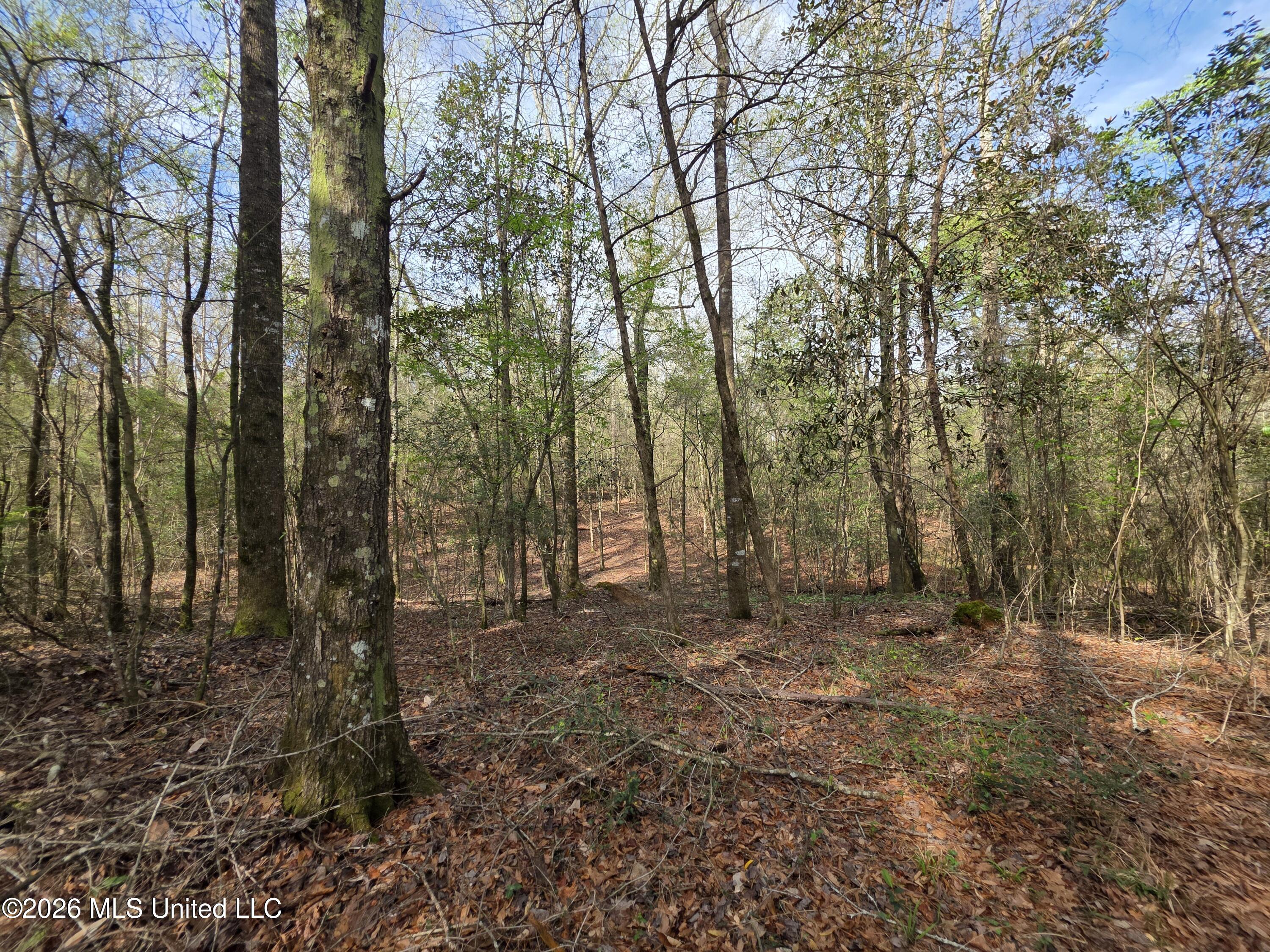 Conerly Drive McComb, MS 39648 - Photo 23 of 40 29412