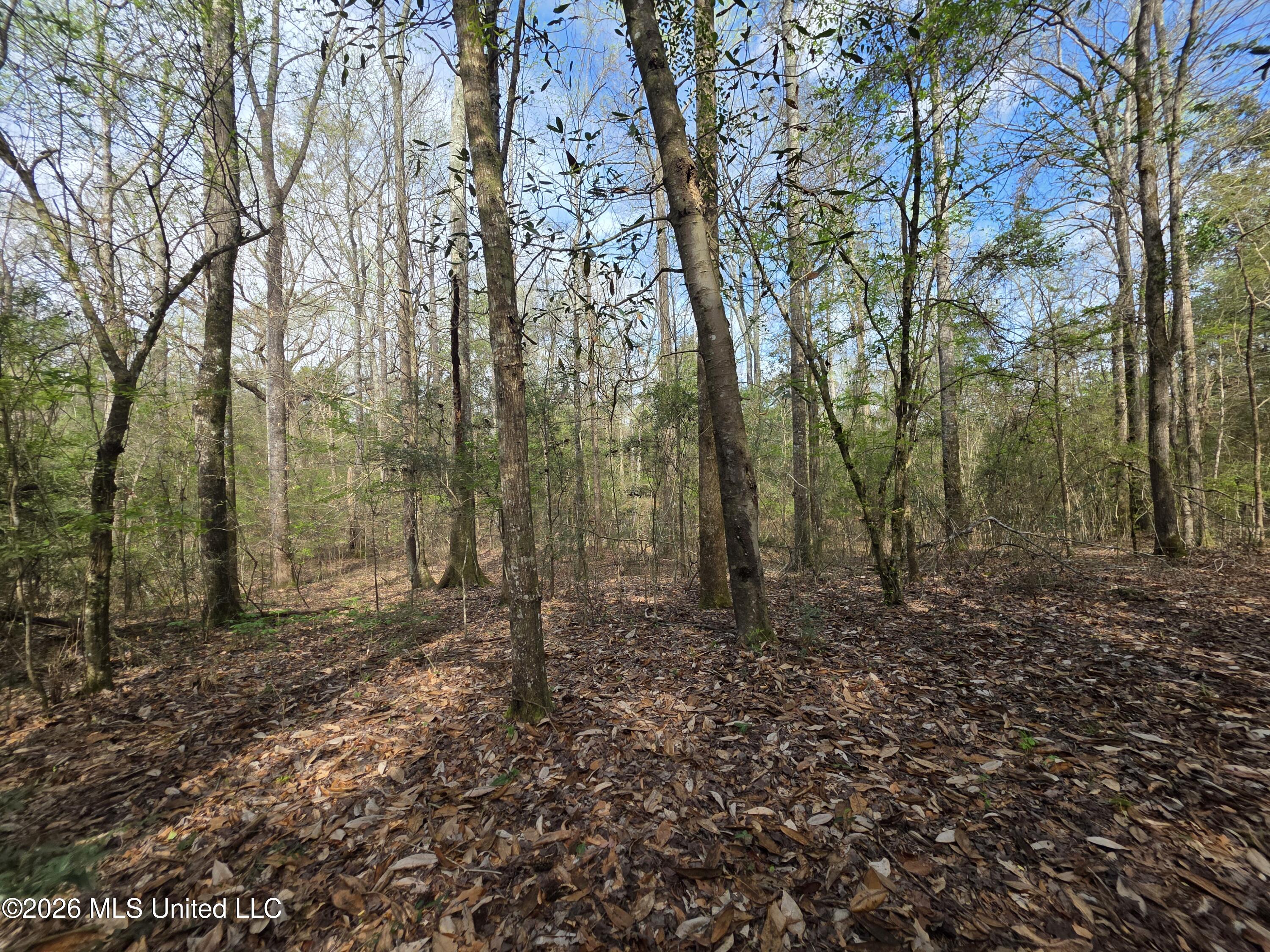 Conerly Drive McComb, MS 39648 - Photo 24 of 40 29406