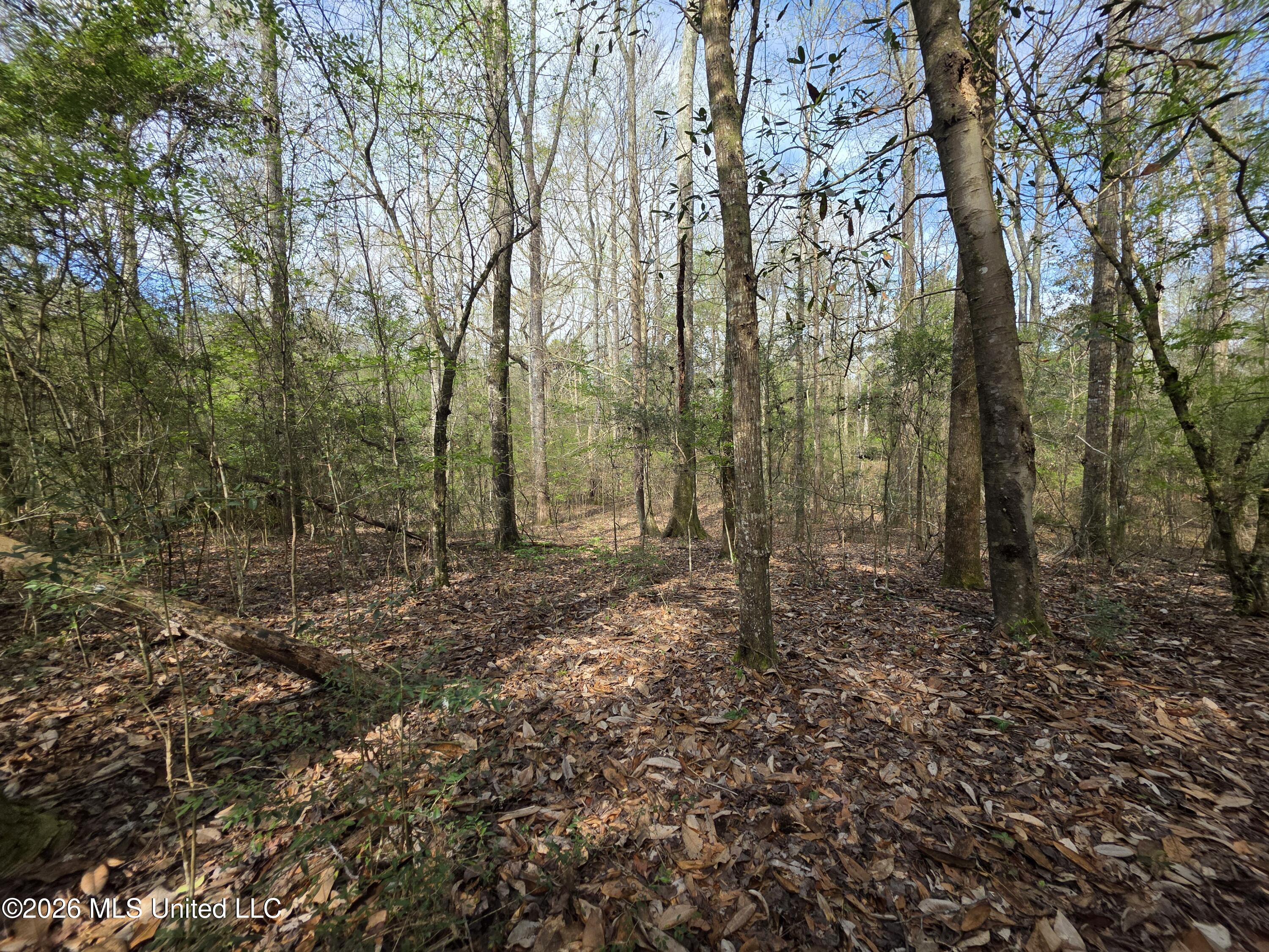 Conerly Drive McComb, MS 39648 - Photo 25 of 40 29404