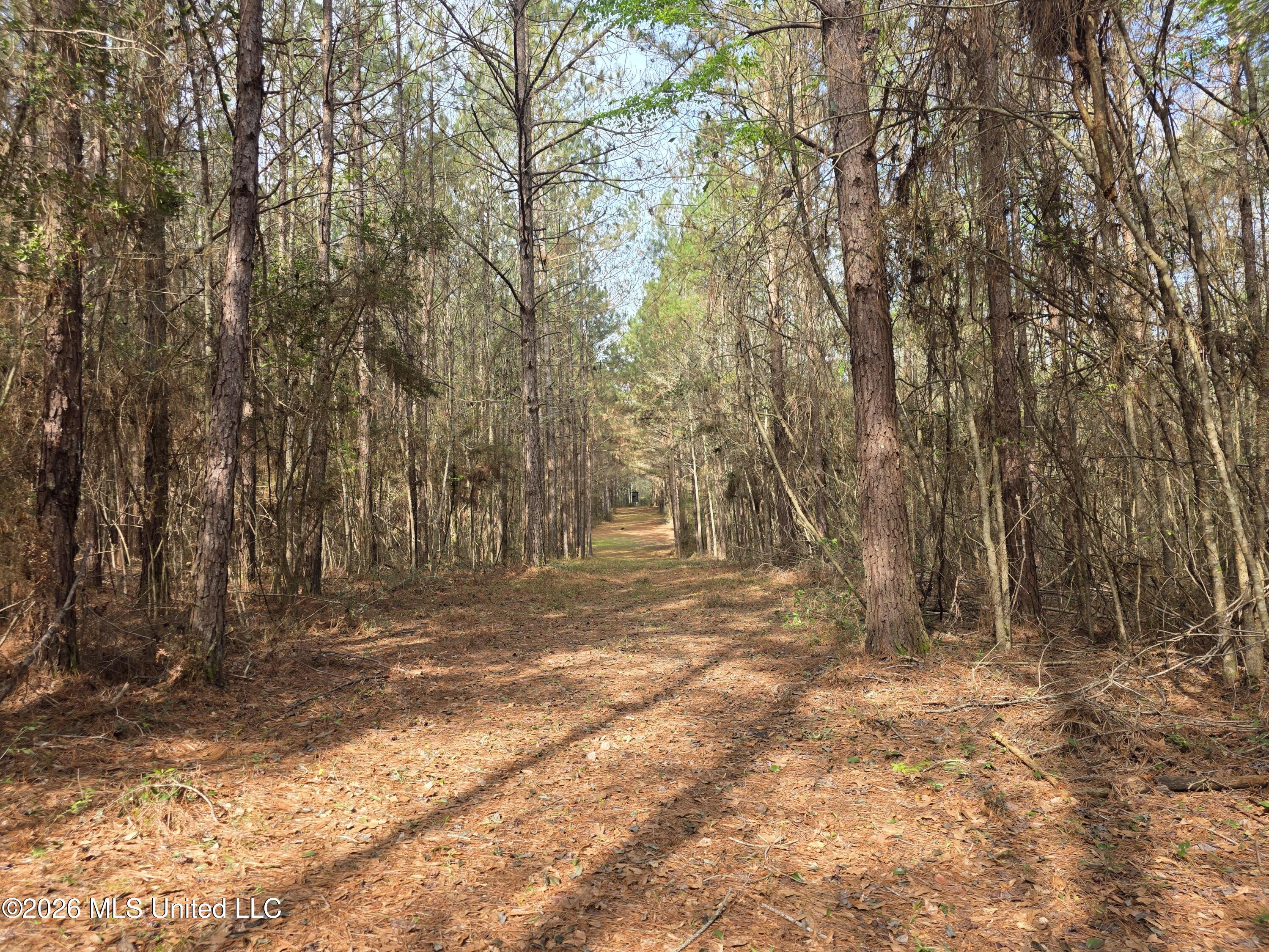 Conerly Drive McComb, MS 39648 - Photo 26 of 40 29397