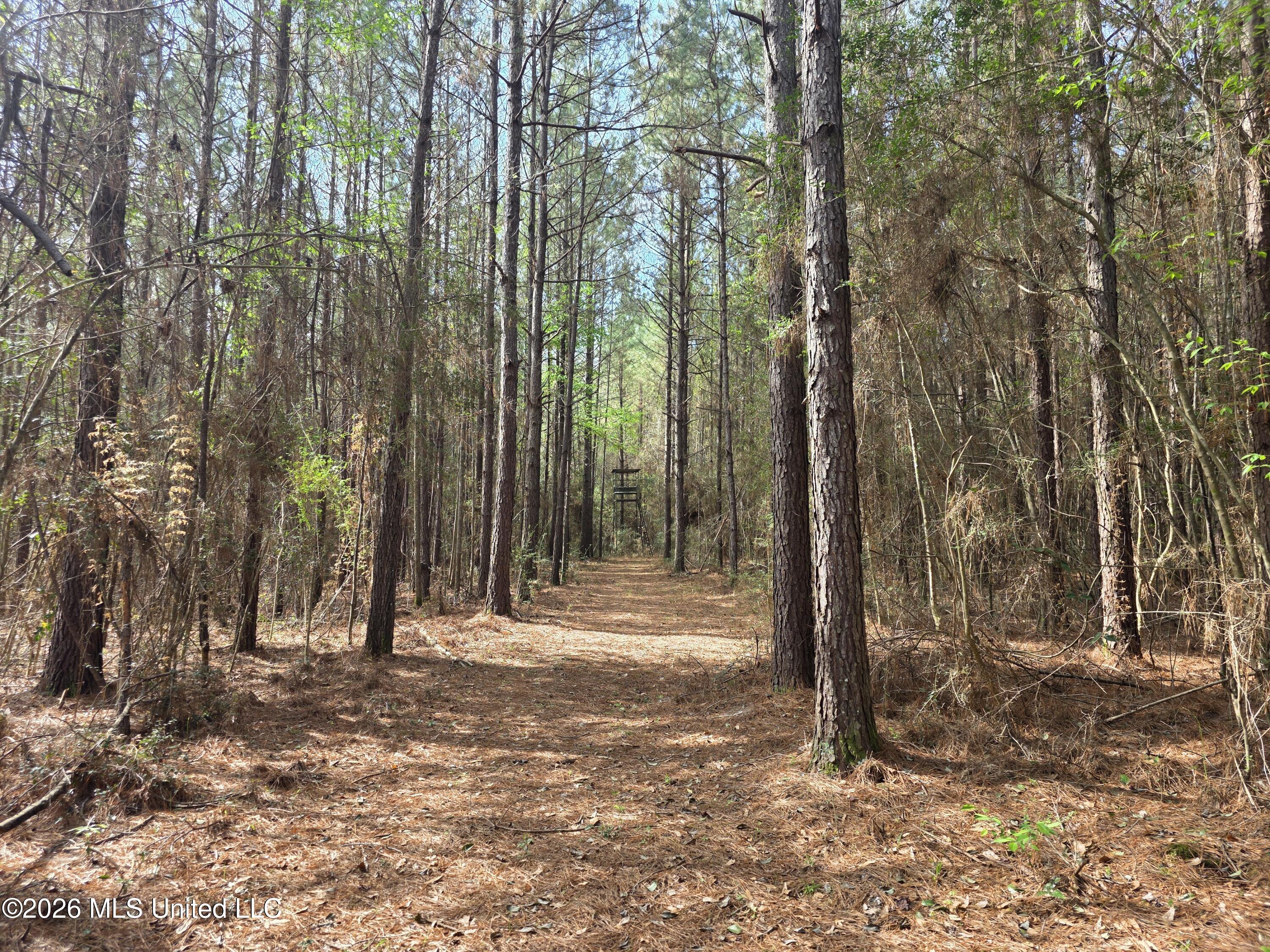 Conerly Drive McComb, MS 39648 - Photo 27 of 40 29395